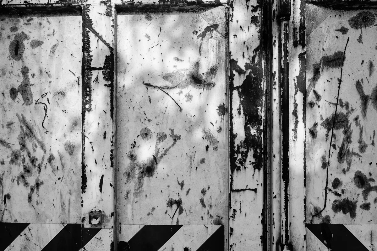 Thomas hammoudi photographie bxl nb 2037 - Bruxelles (Belgique) - Thomas Hammoudi