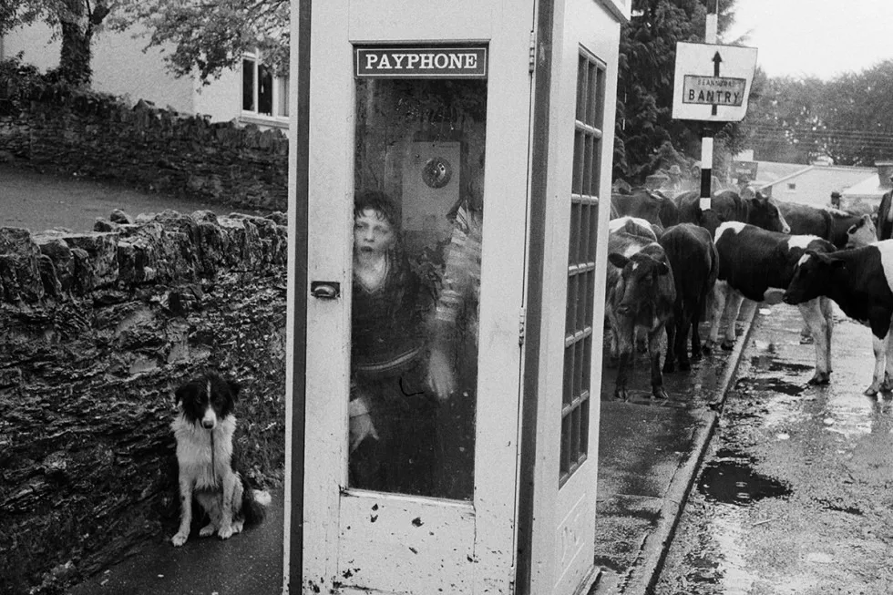Martin parr bad weather (8) - - Thomas Hammoudi