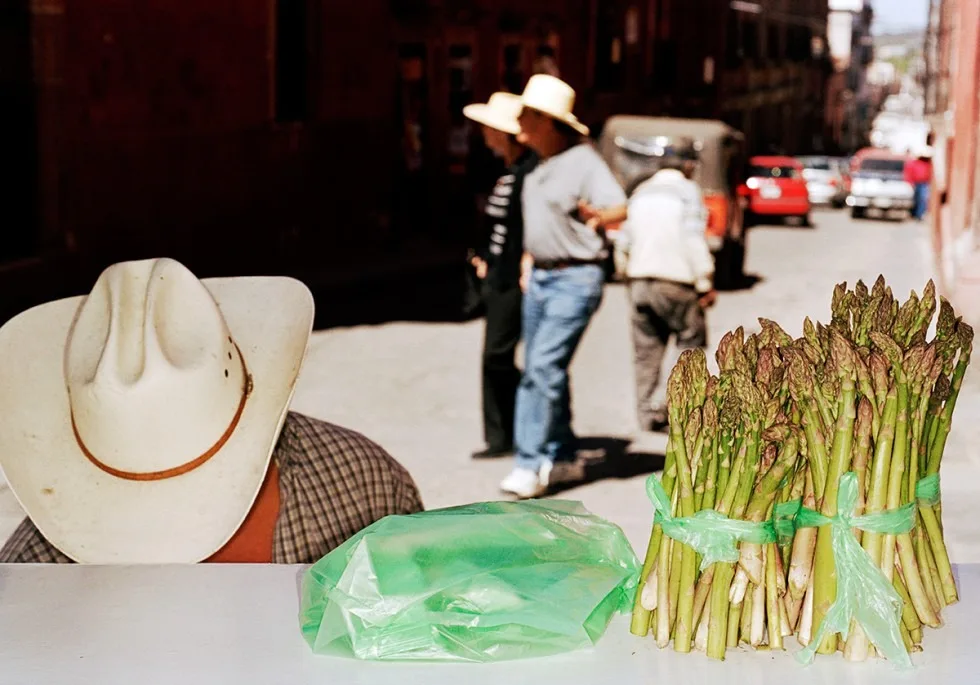 Martin parr mexico (5) - - Thomas Hammoudi