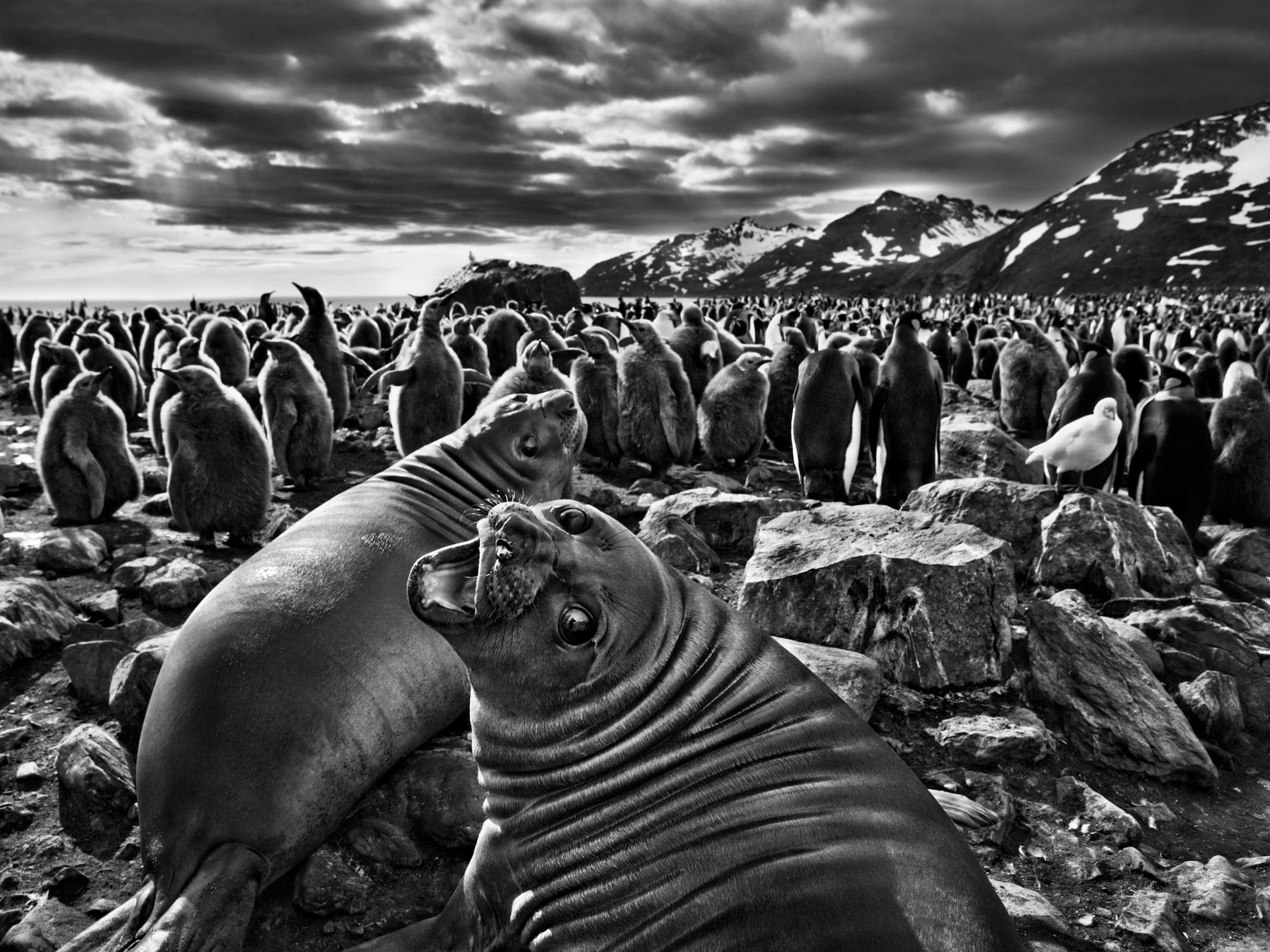 Sebastião Salgado - Portrait