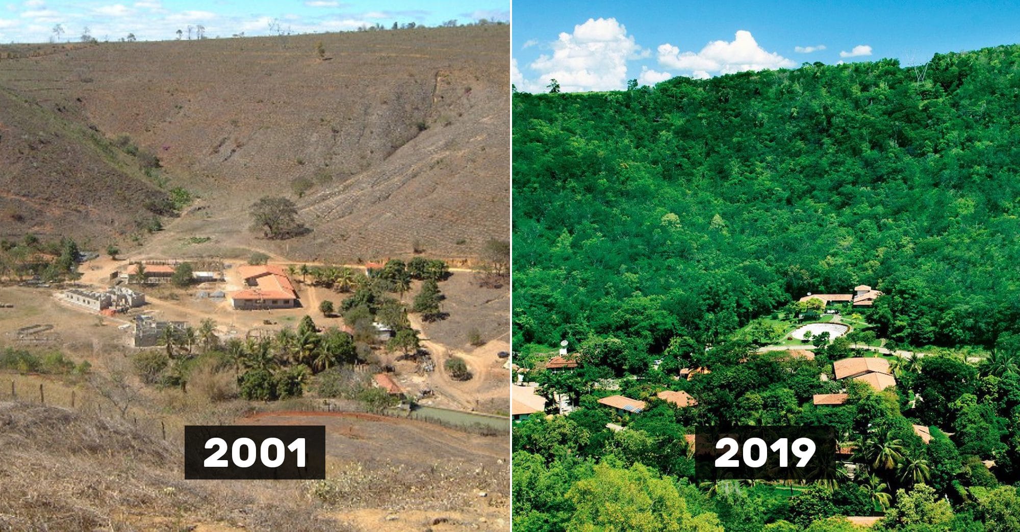 Instituto Terra - Le projet de reforestation des Salgado