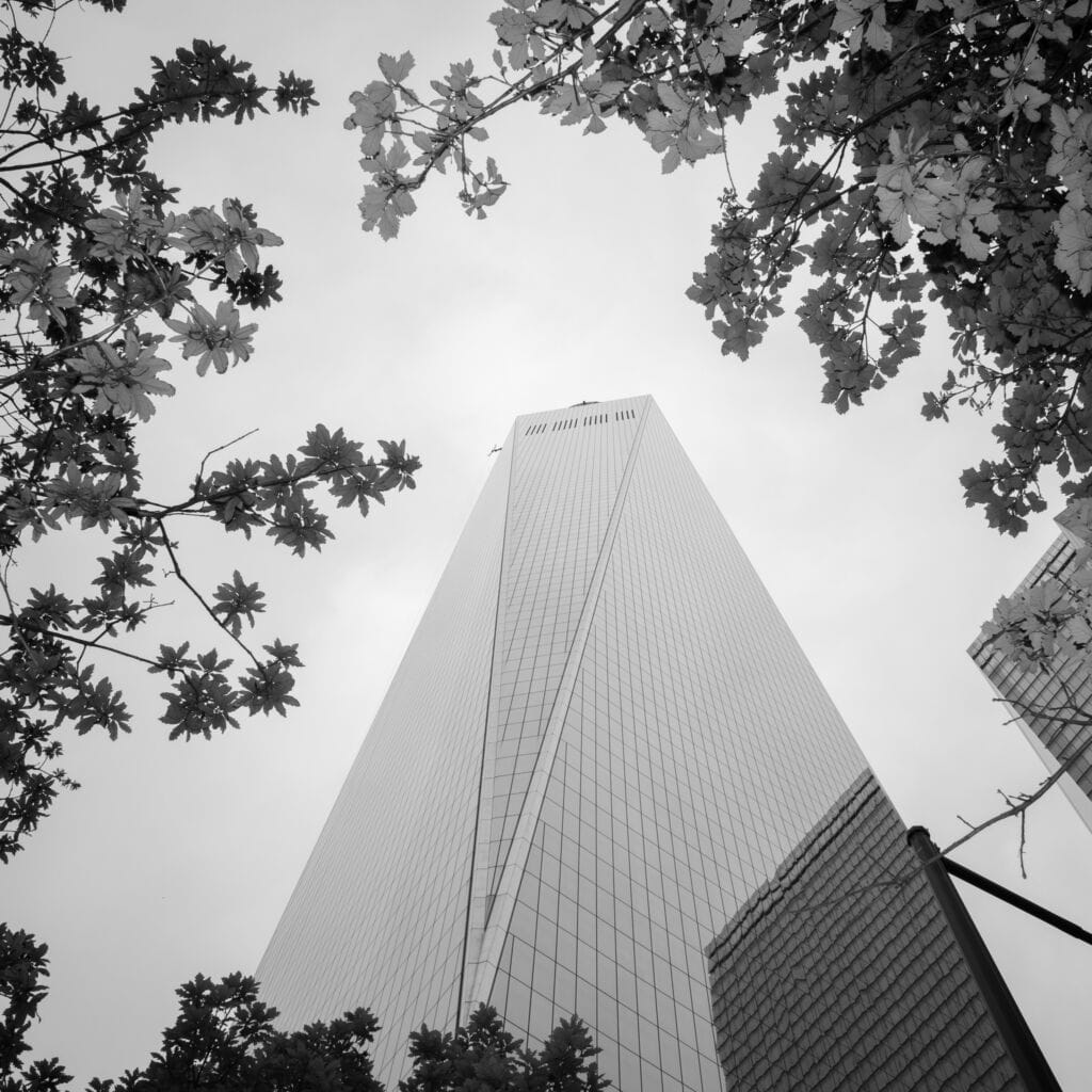 New York City — Thomas Hammoudi