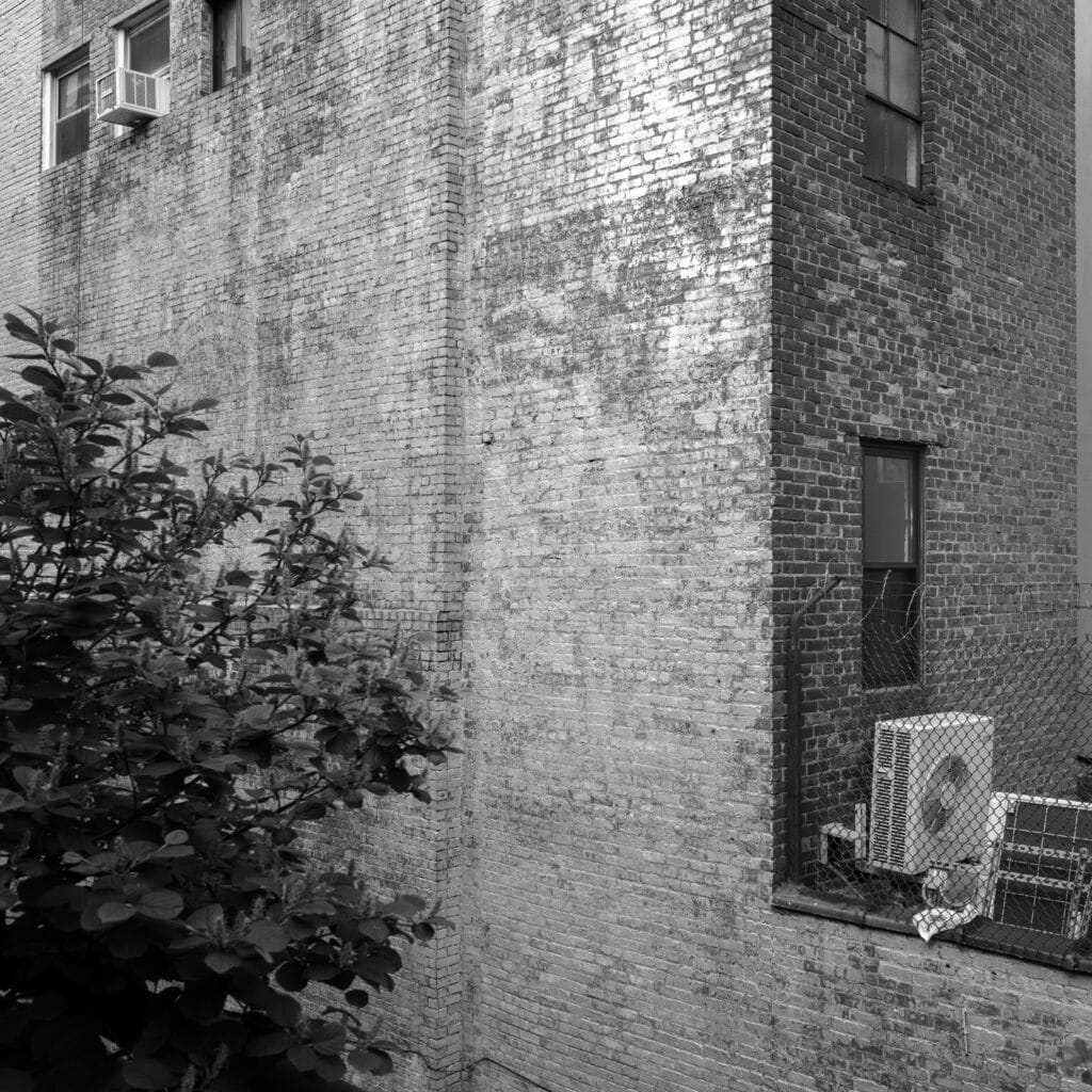 New York City — Thomas Hammoudi