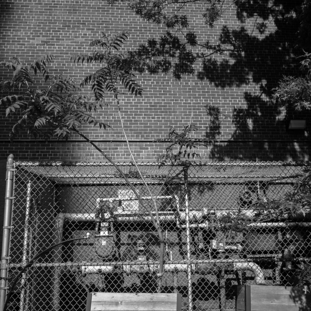 New York City — Thomas Hammoudi