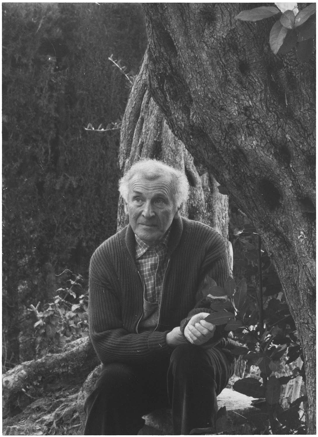 Marc Chagall, 1957, par Denise Colomb