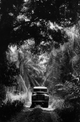 Véhicule sur une piste en forêt, photographie de Raymond Depardon