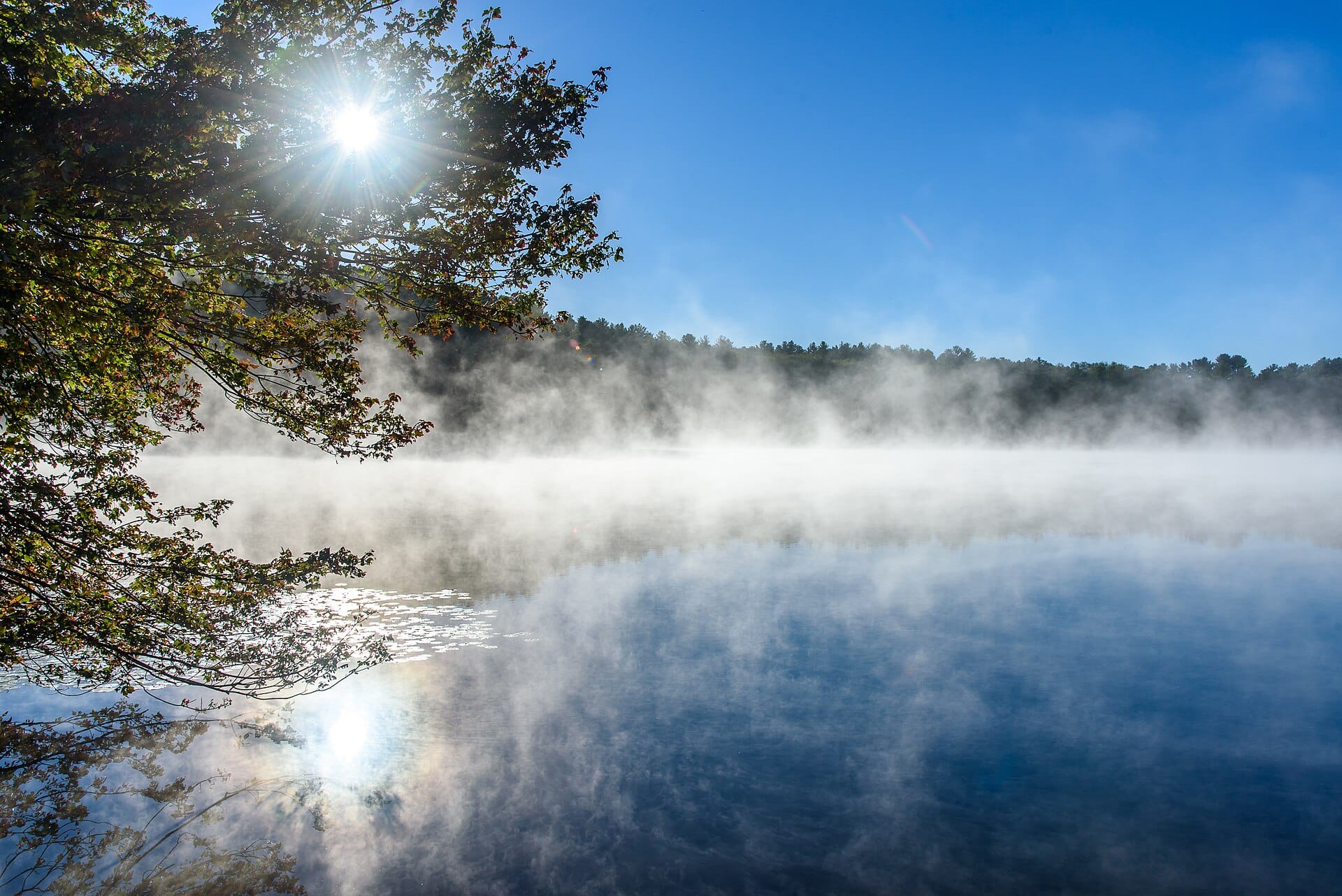 Brume matinale sur un lac