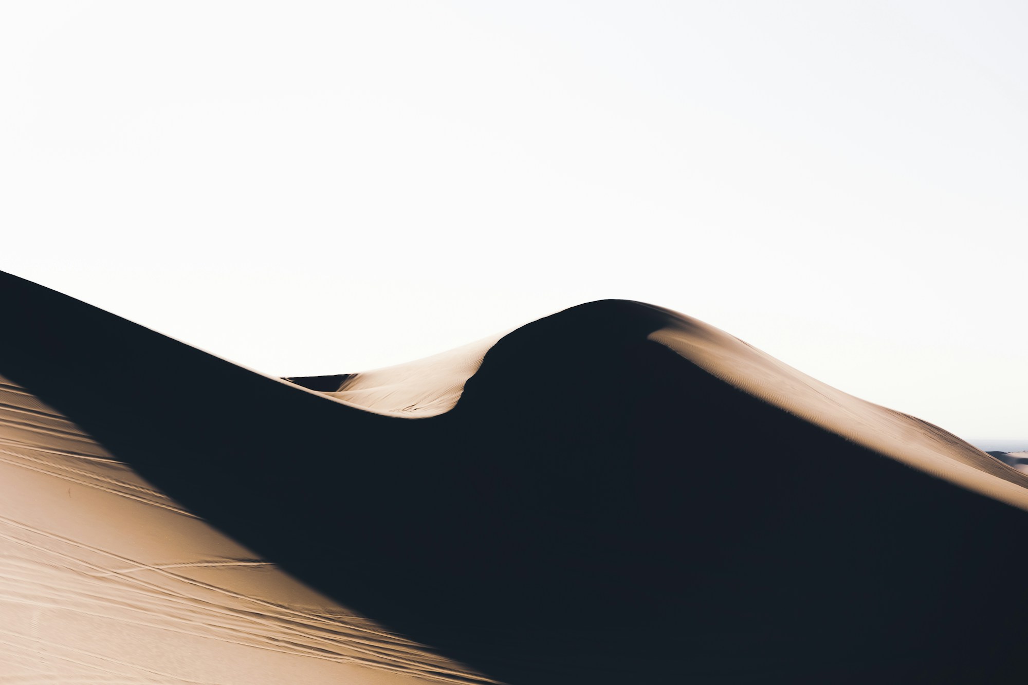 Dunes du Sahara en noir et blanc : image d'ambiance contemporaine, photographie de Reed Naliboff