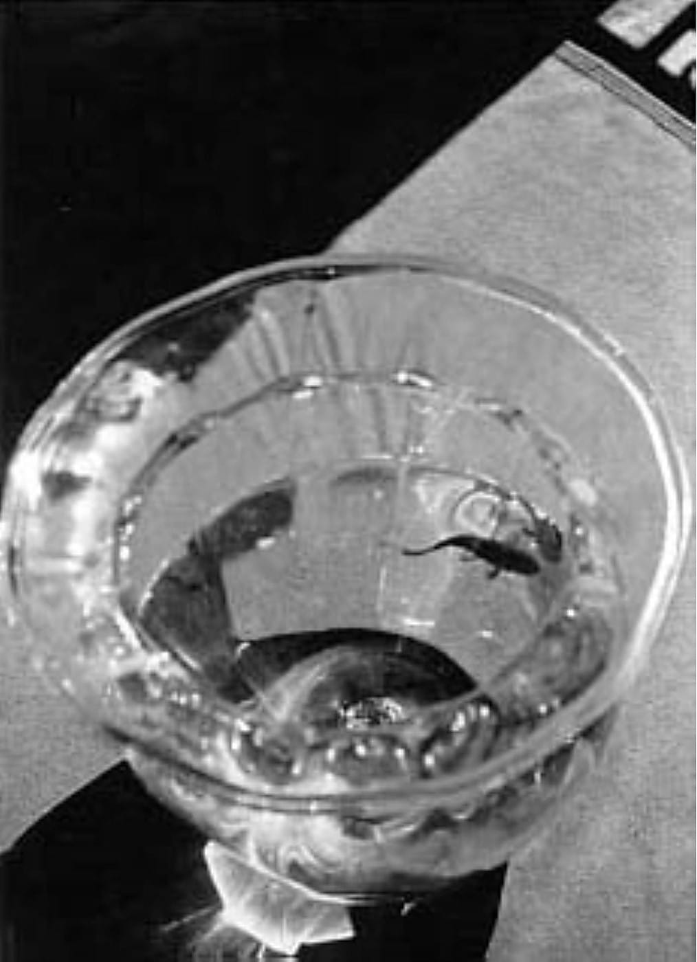 Bocal de verre contenant des poissons, photographie de Claude Cahun