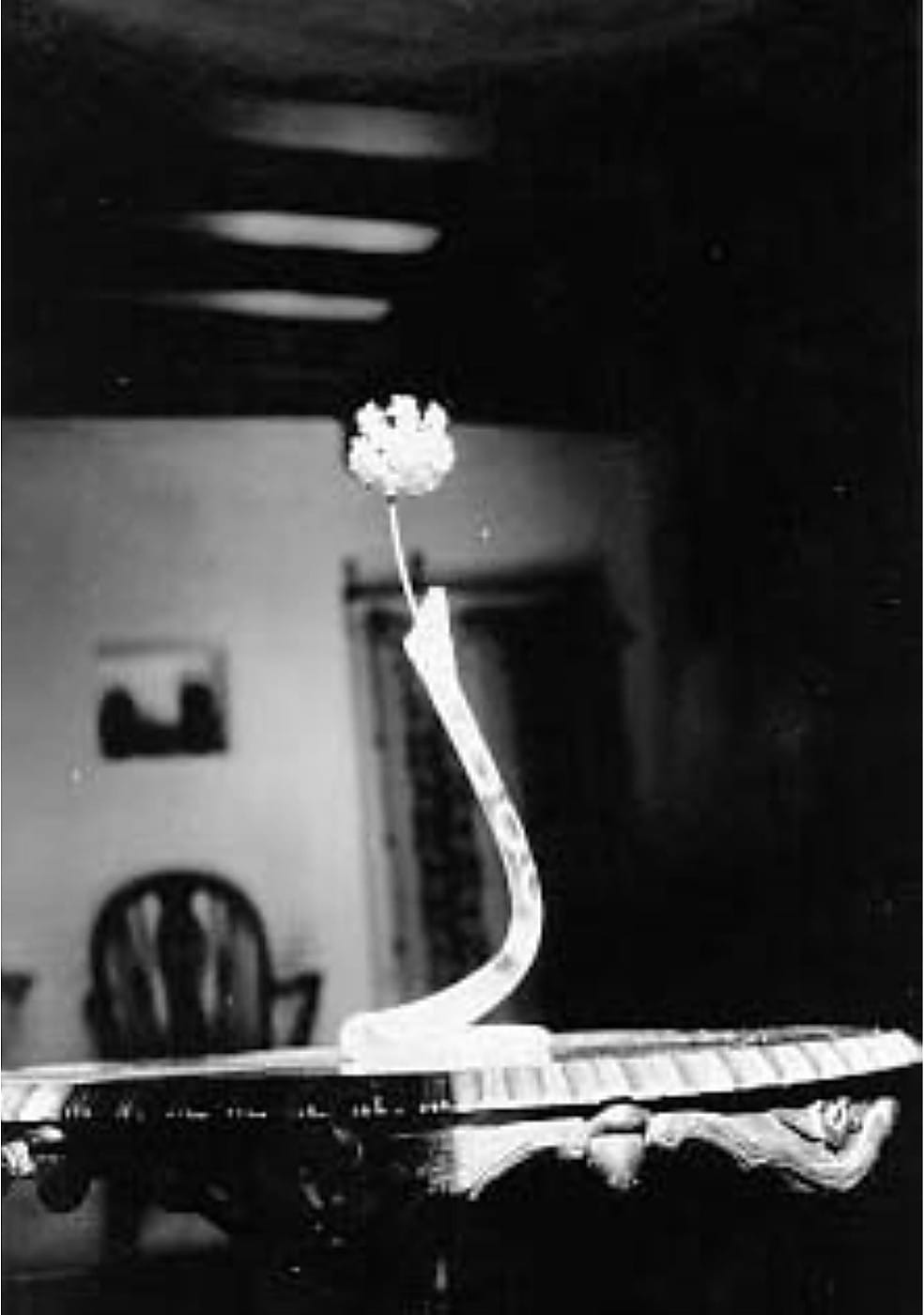 Fleur dans un vase posé sur une table, photographie de Claude Cahun
