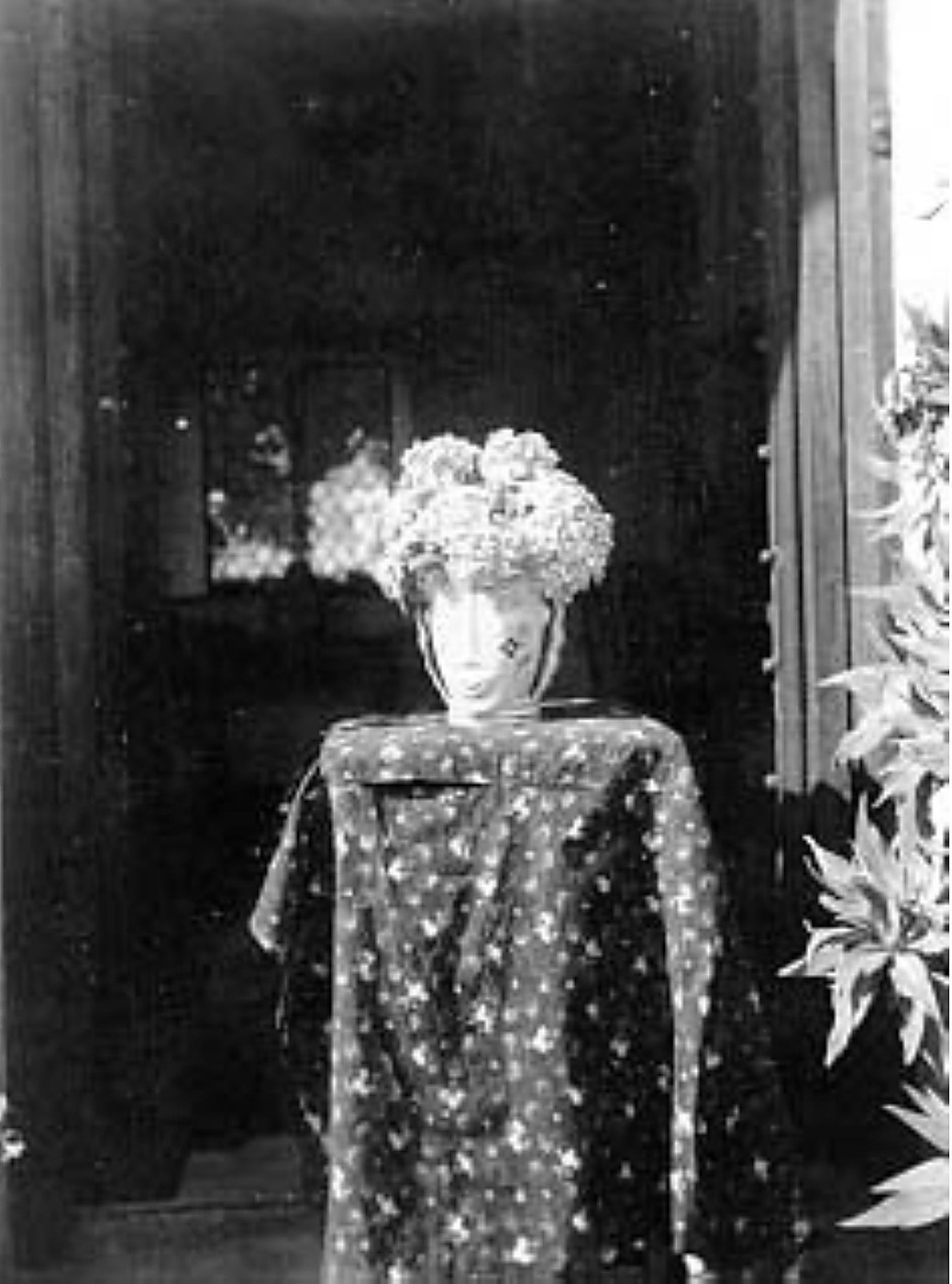 Hortensia dans un vase en forme de visage, photographié par Claude Cahun
