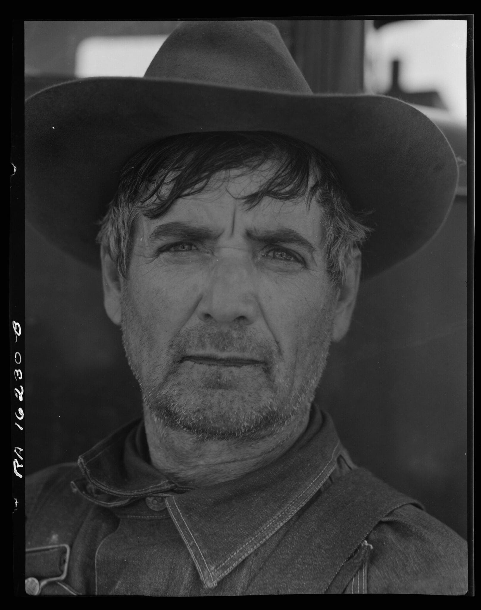 Ancien métayer du Texas devenu cueilleur de pois à Nipomo, Californie, par Dorothea Lange