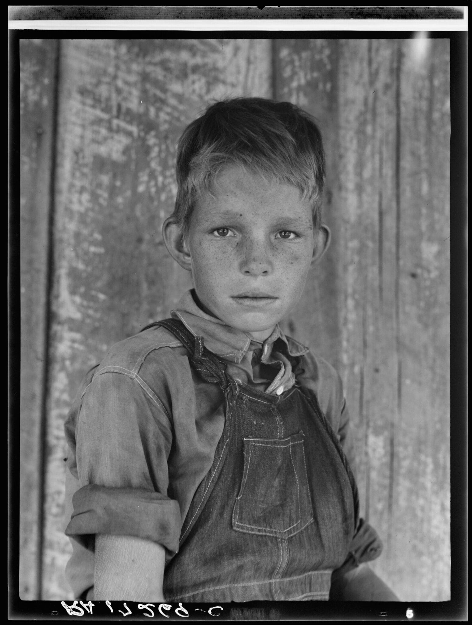 Fils de douze ans d'un métayer du coton près de Cleveland, Mississippi, par Dorothea Lange