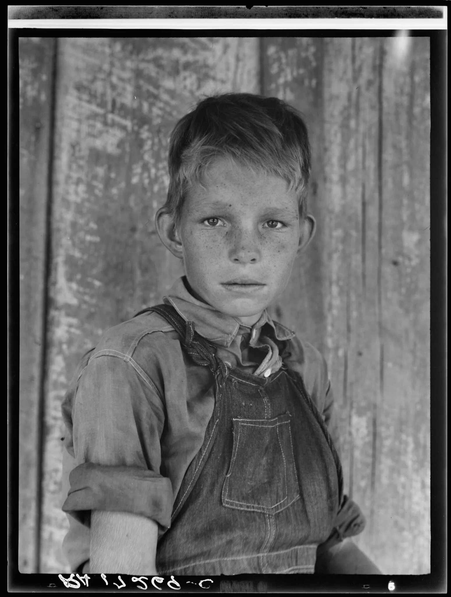 Fils de douze ans d'un métayer du coton près de Cleveland, Mississippi, par Dorothea Lange