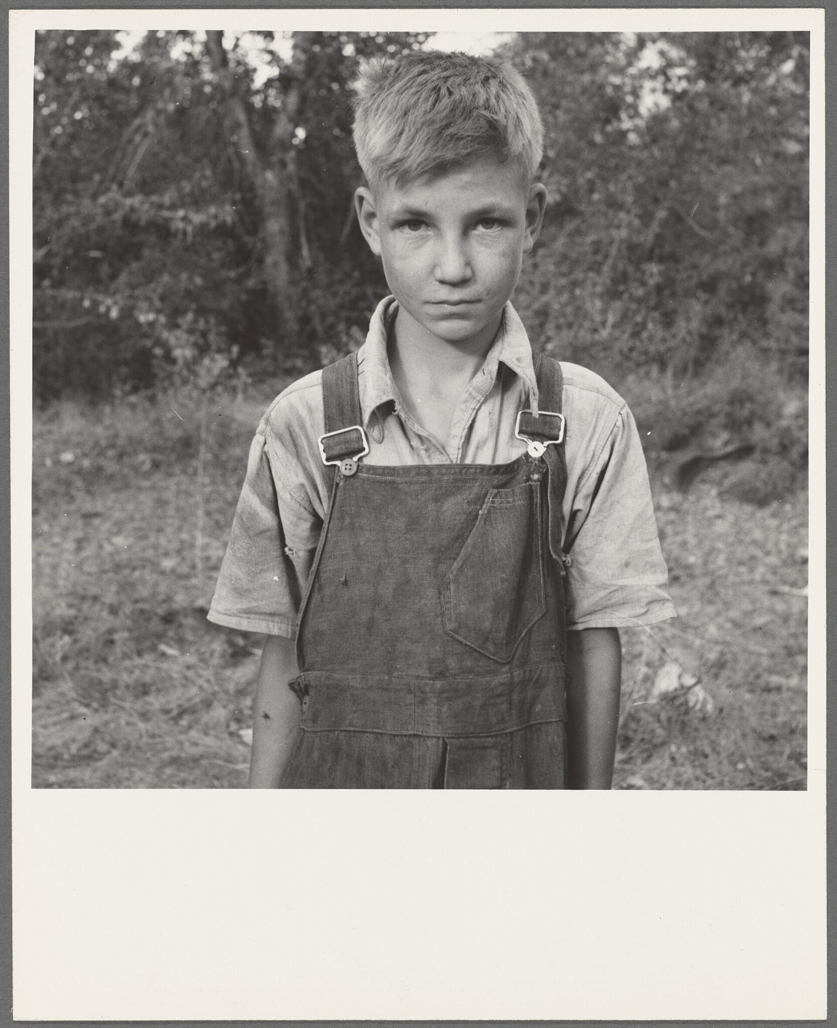 Jeune migrant dans un camp de squatters de la vallée de Yakima, par Dorothea Lange