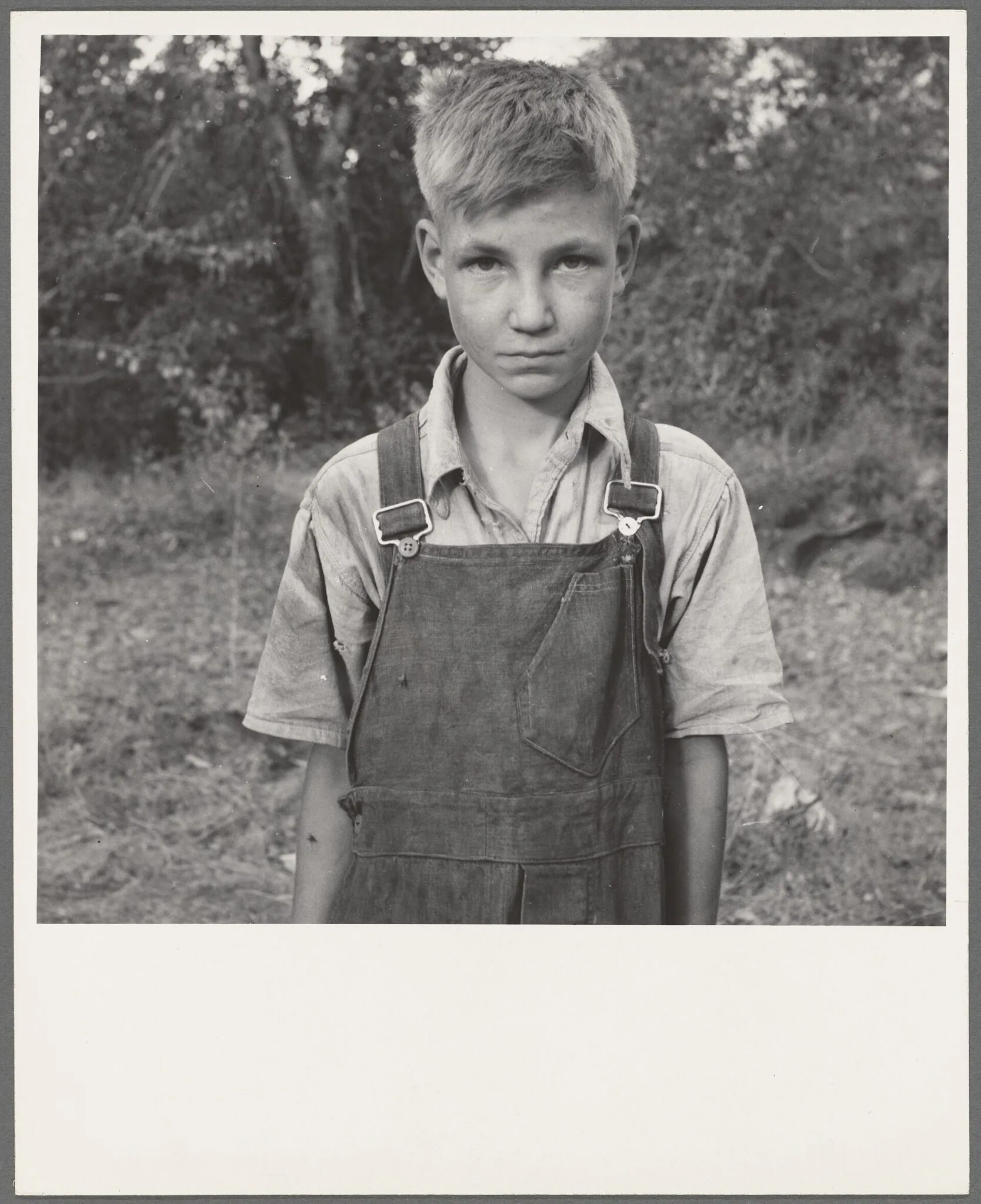 Jeune migrant dans un camp de squatters de la vallée de Yakima, par Dorothea Lange
