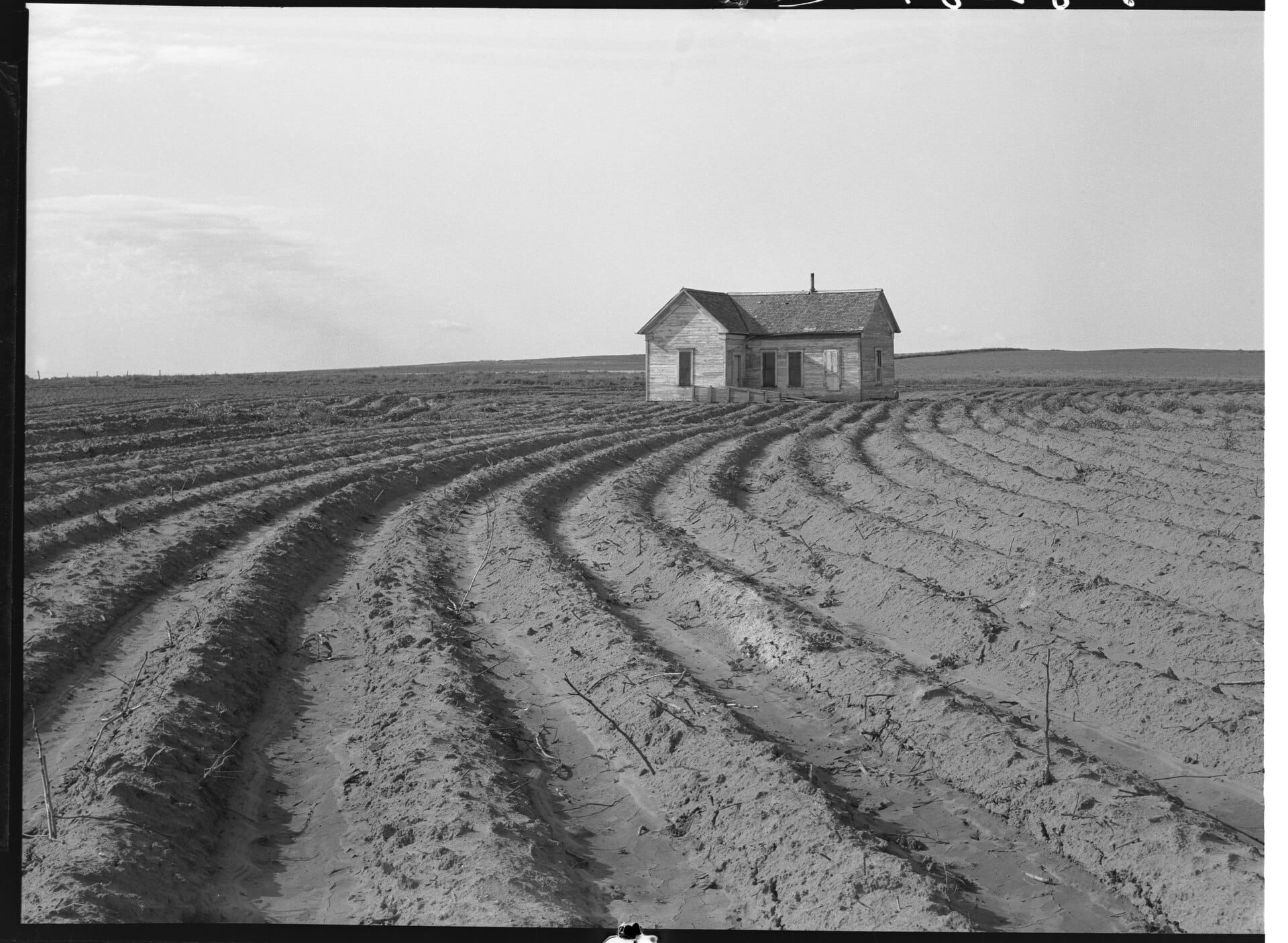 Ferme vidée de ses métayers par la mécanisation, comté de Childress, Texas, par Dorothea Lange