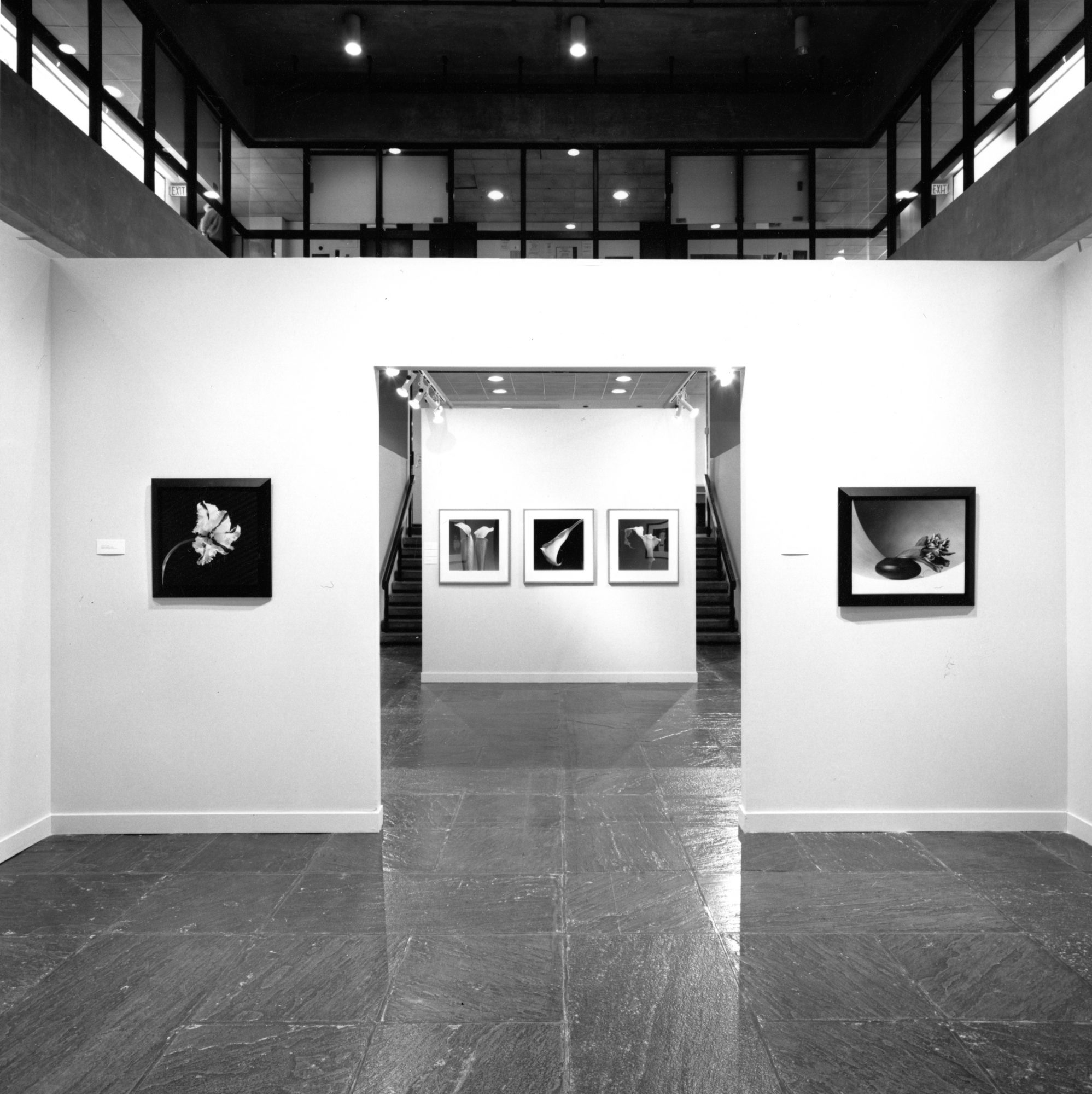 Vue de l’accrochage de The Perfect Moment à l’Institute of Contemporary Art de Philadelphie, 1988. C’est cette exposition qui sera fermée par la police à Cincinnati deux ans plus tard.
