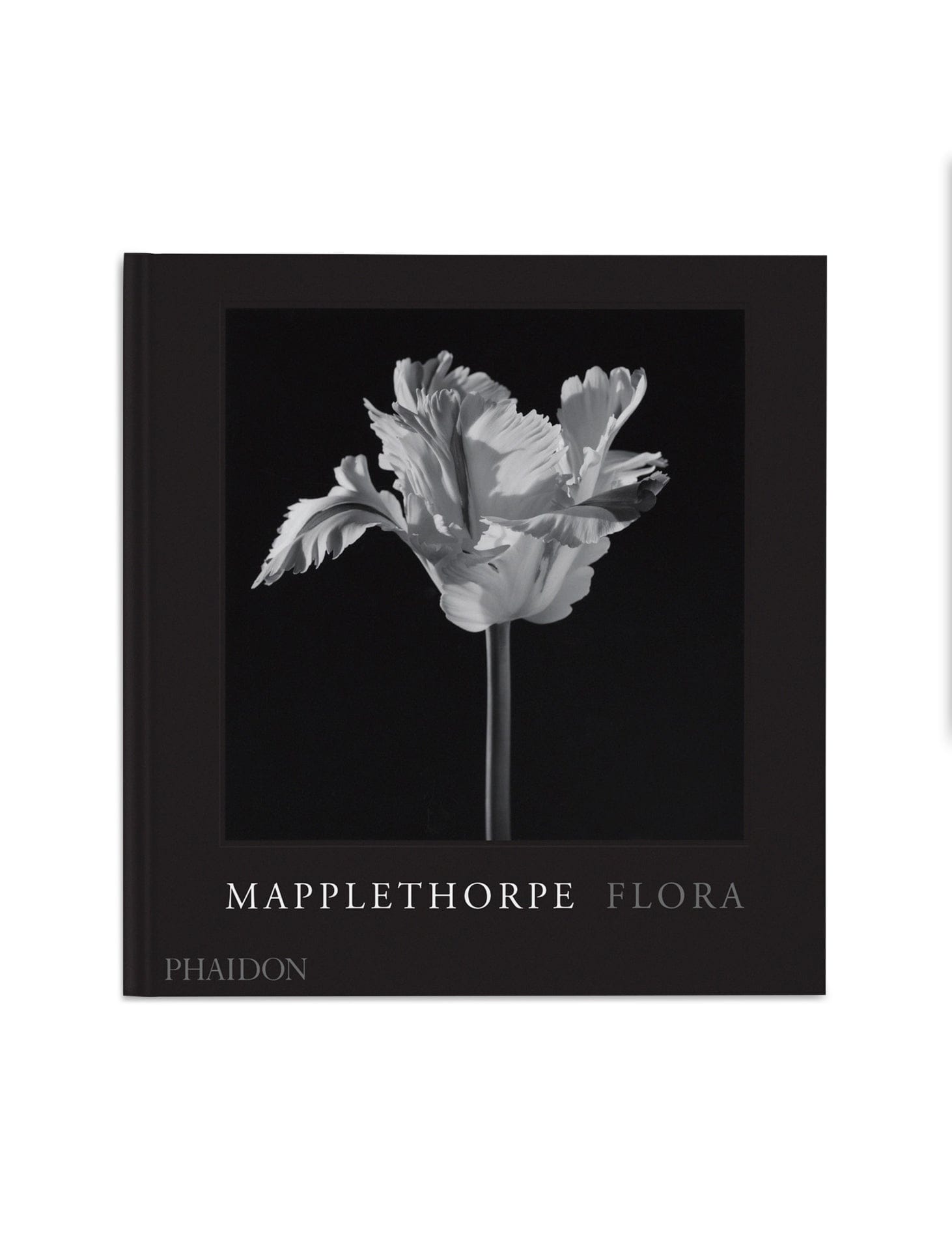 Couverture du livre Mapplethorpe Flora, The Complete Flowers