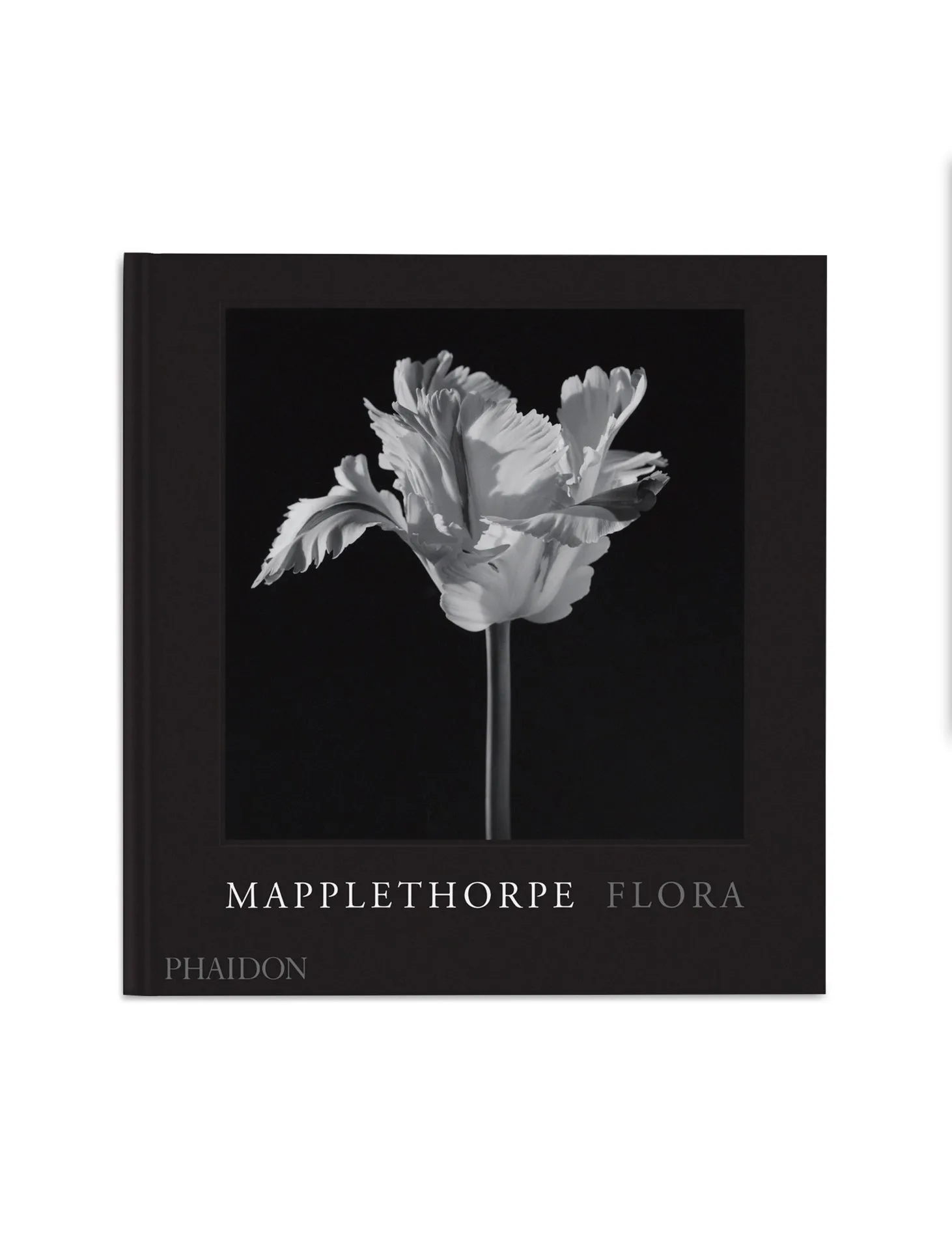 Couverture du livre Mapplethorpe Flora, The Complete Flowers