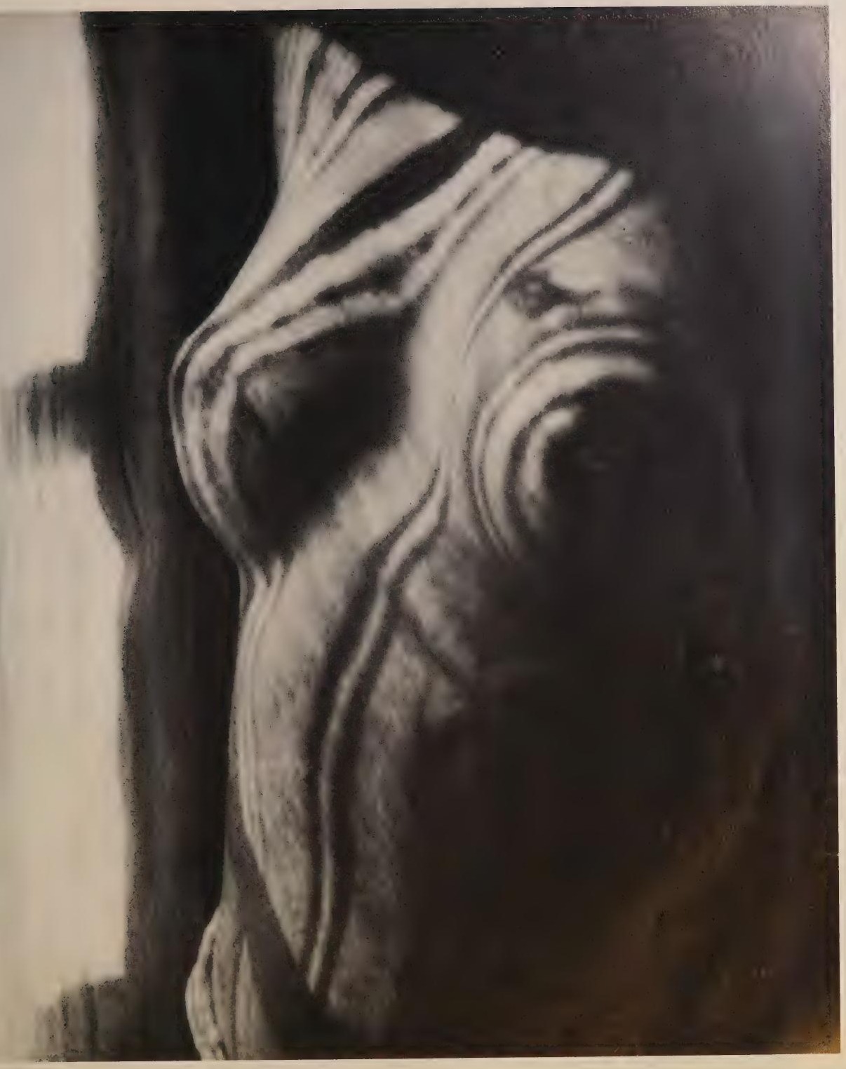 Torse transformé par la lumière, photographie de Man Ray publiée en 1934