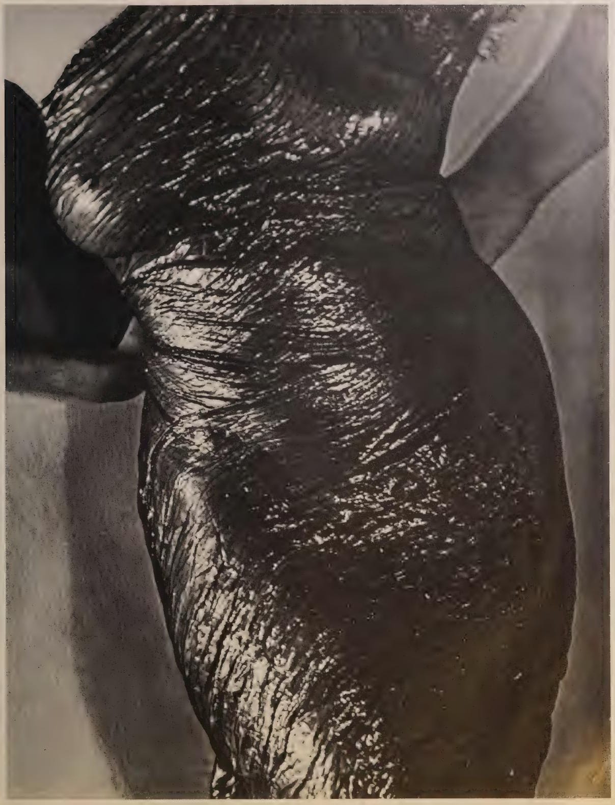 Étude de hanche et de matière, photographie de Man Ray publiée en 1934