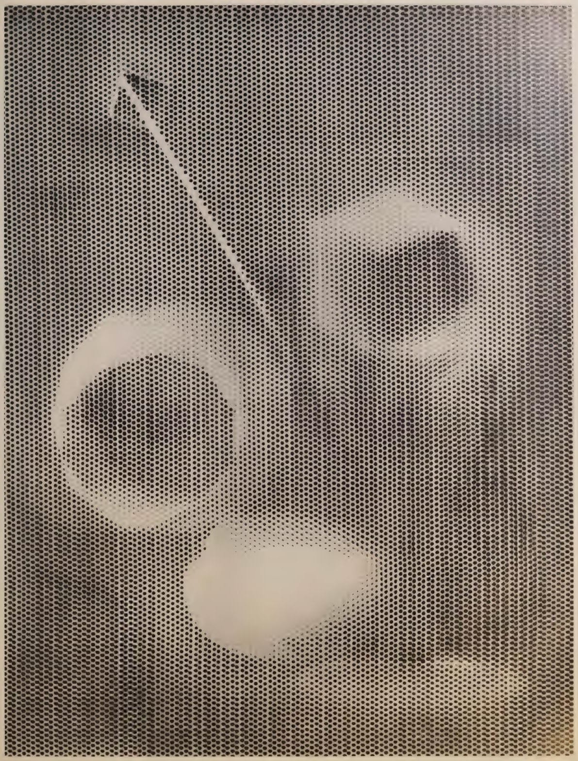 Rayographie aux formes flottantes, photographie de Man Ray publiée en 1934