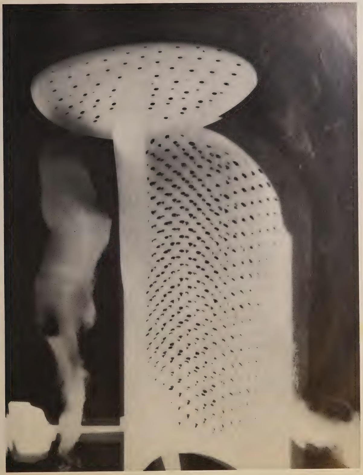 Rayographie avec râpe et silhouette, photographie de Man Ray publiée en 1934