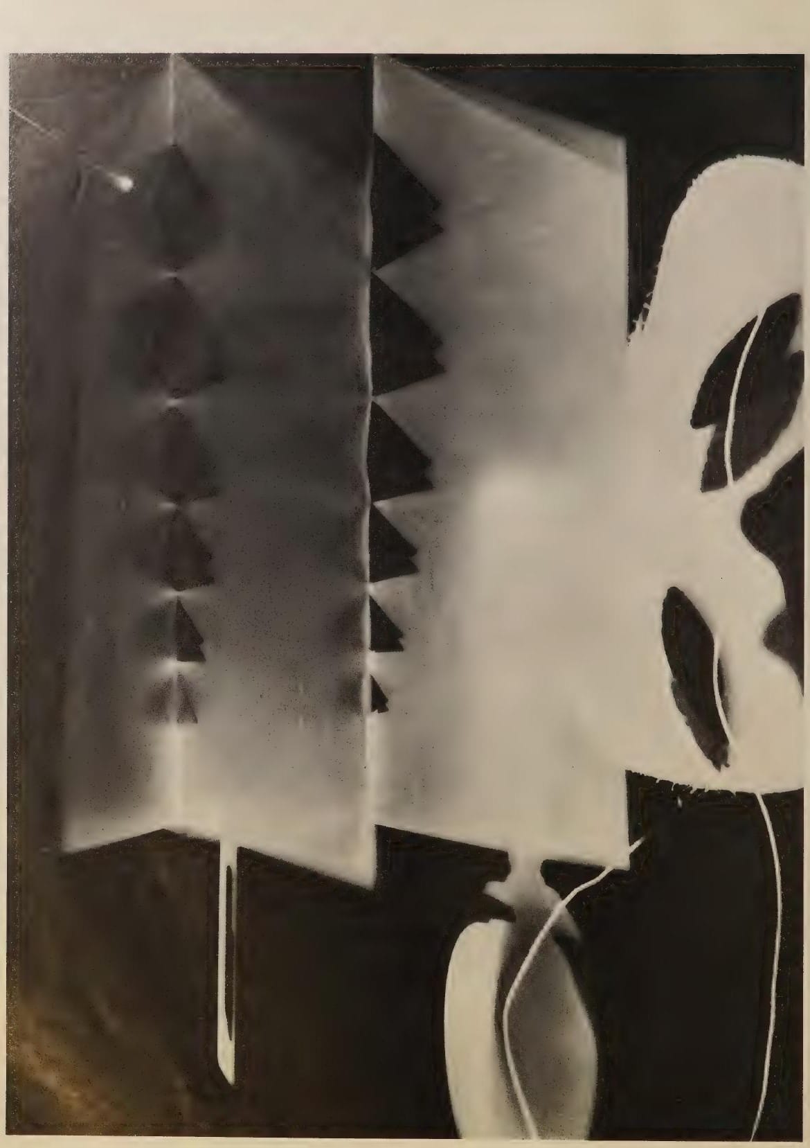 Rayographie de volumes géométriques, photographie de Man Ray publiée en 1934