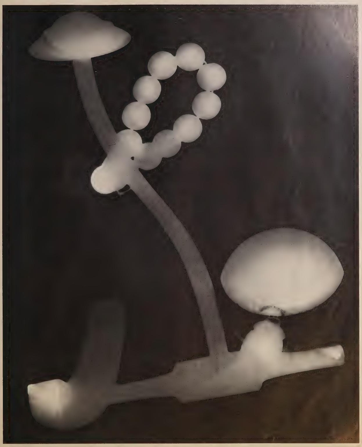 Rayographie de perles et formes courbes, photographie de Man Ray publiée en 1934