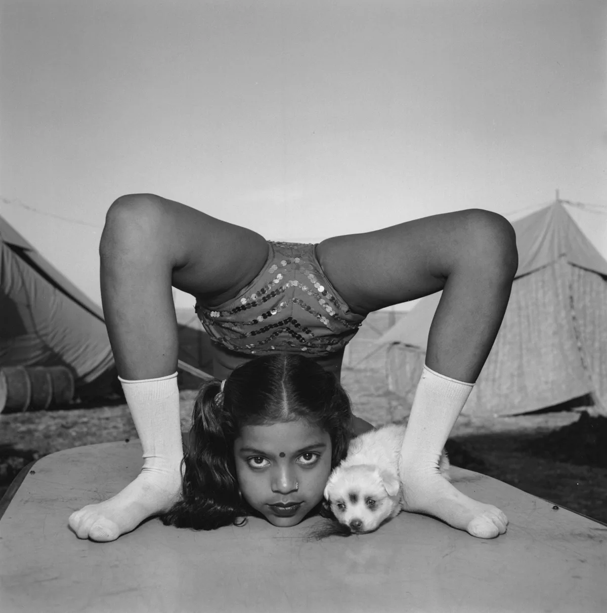 Jeune contorsionniste repliée sur elle-même avec son chiot, Great Raj Kamal Circus, Upleta, Inde, 1989, par Mary Ellen Mark