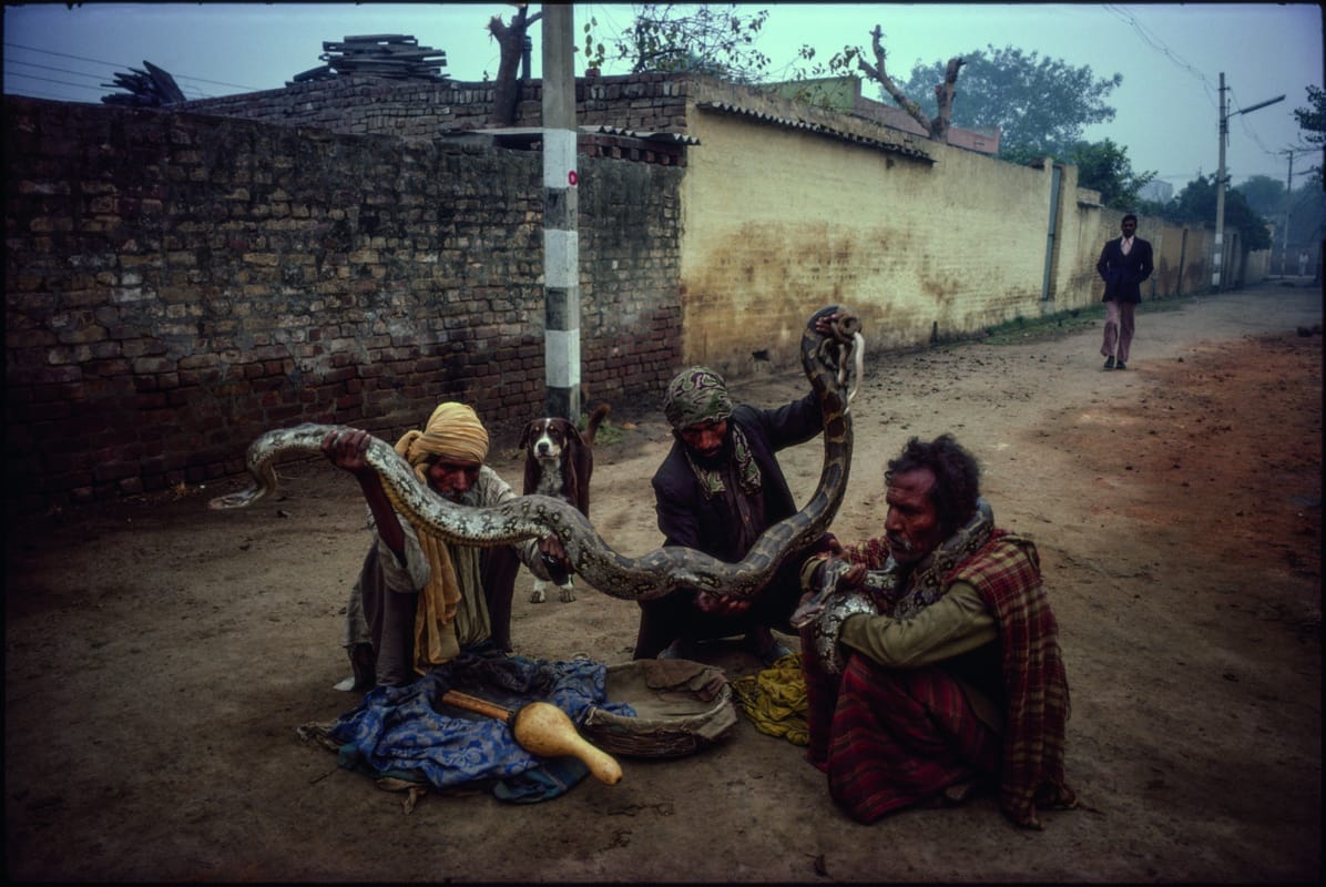 Mary Ellen Mark, Snake charmers, New Delhi, India, 1981