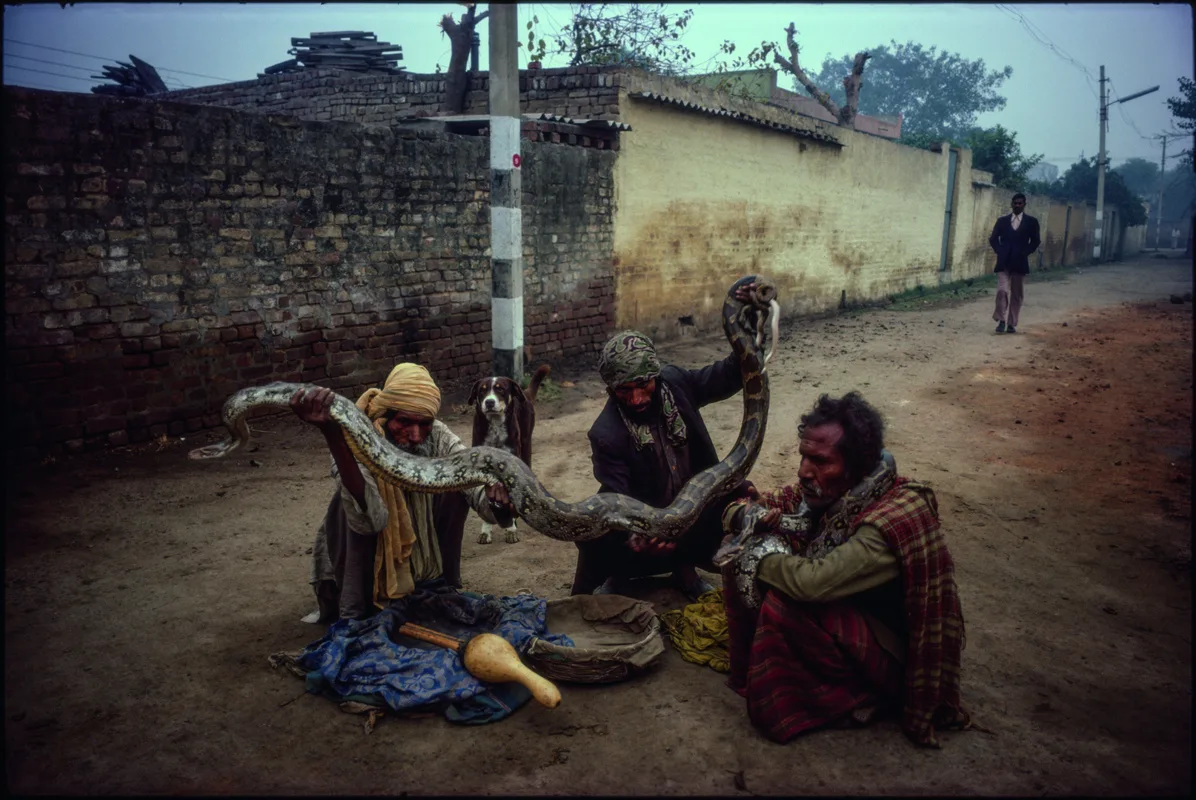 Mary Ellen Mark, Snake charmers, New Delhi, India, 1981