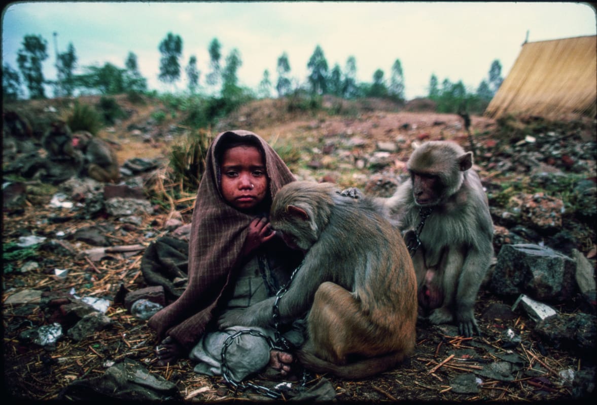 Mary Ellen Mark, Monkey trainer's daughter, India, 1981