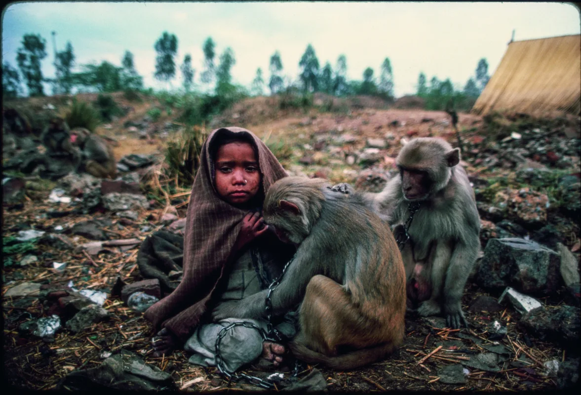 Mary Ellen Mark, Monkey trainer's daughter, India, 1981