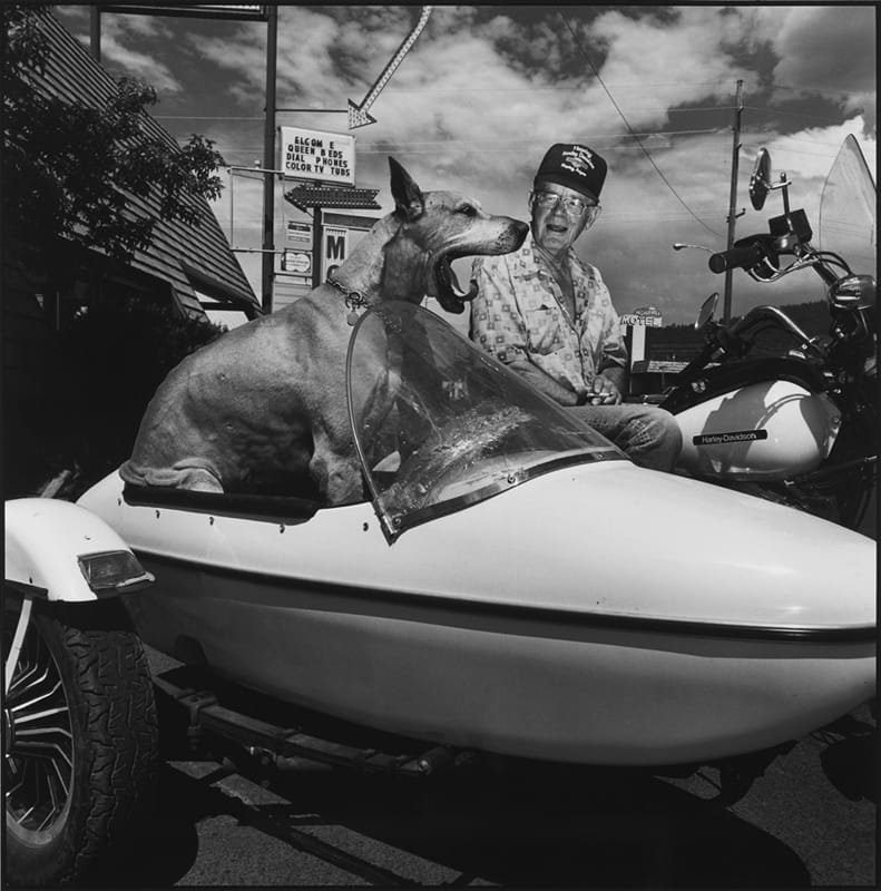 Mary Ellen Mark, Yawning Dog, Williams, Arizona, 1988