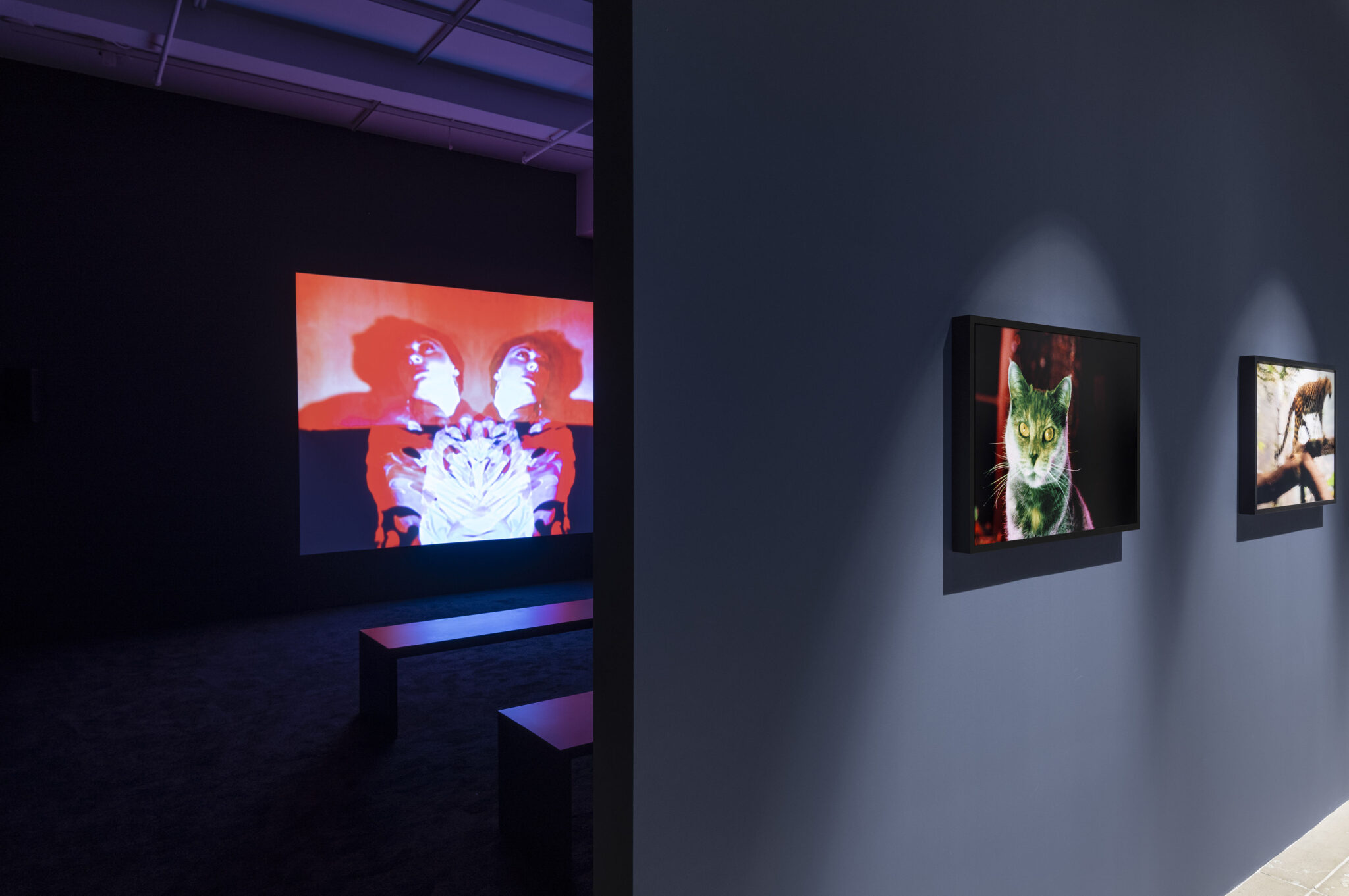 Nan Goldin, Memory Lost, vue d'installation