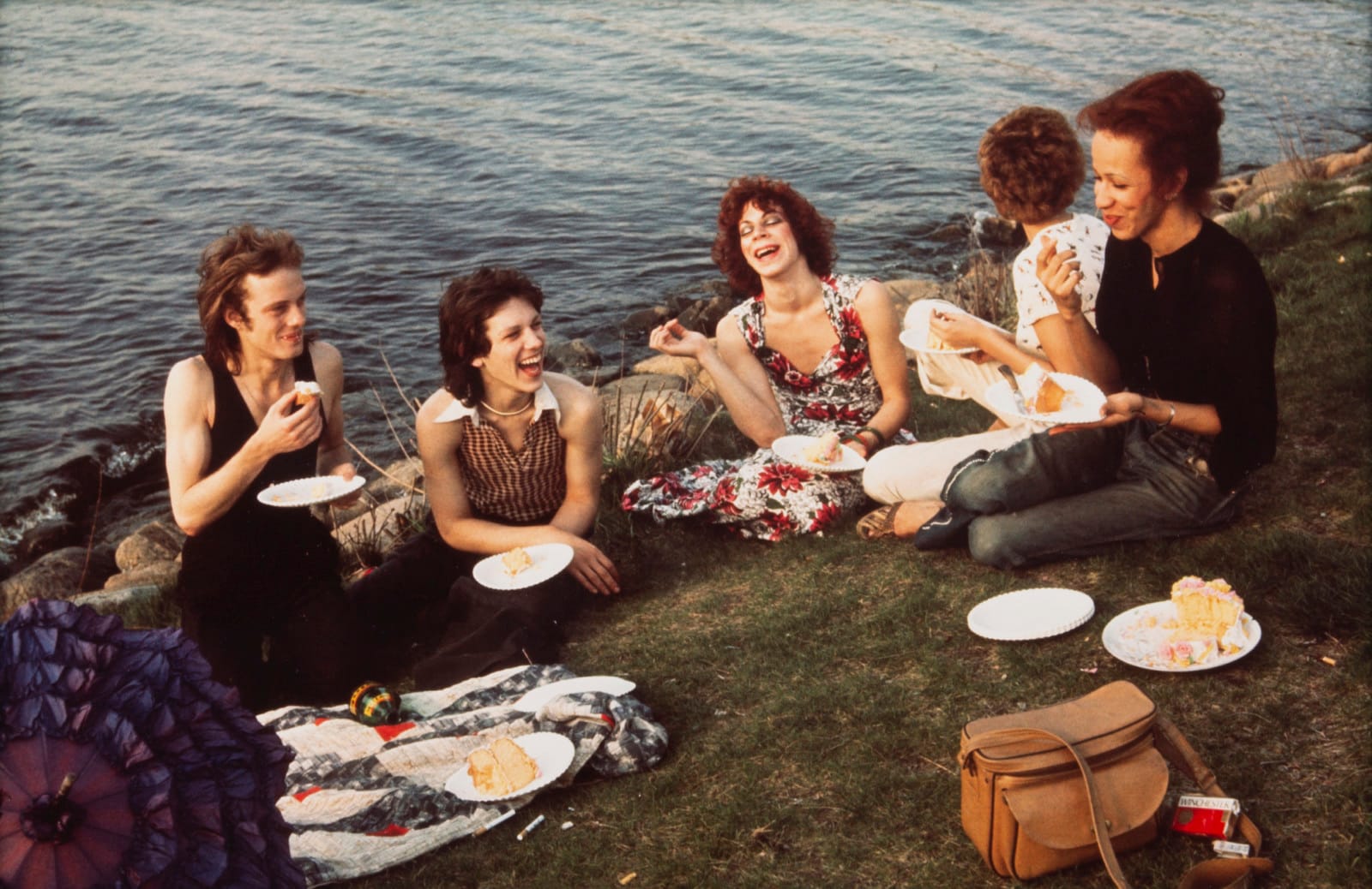 Nan Goldin, Picnic on the Esplanade, Boston, 1973