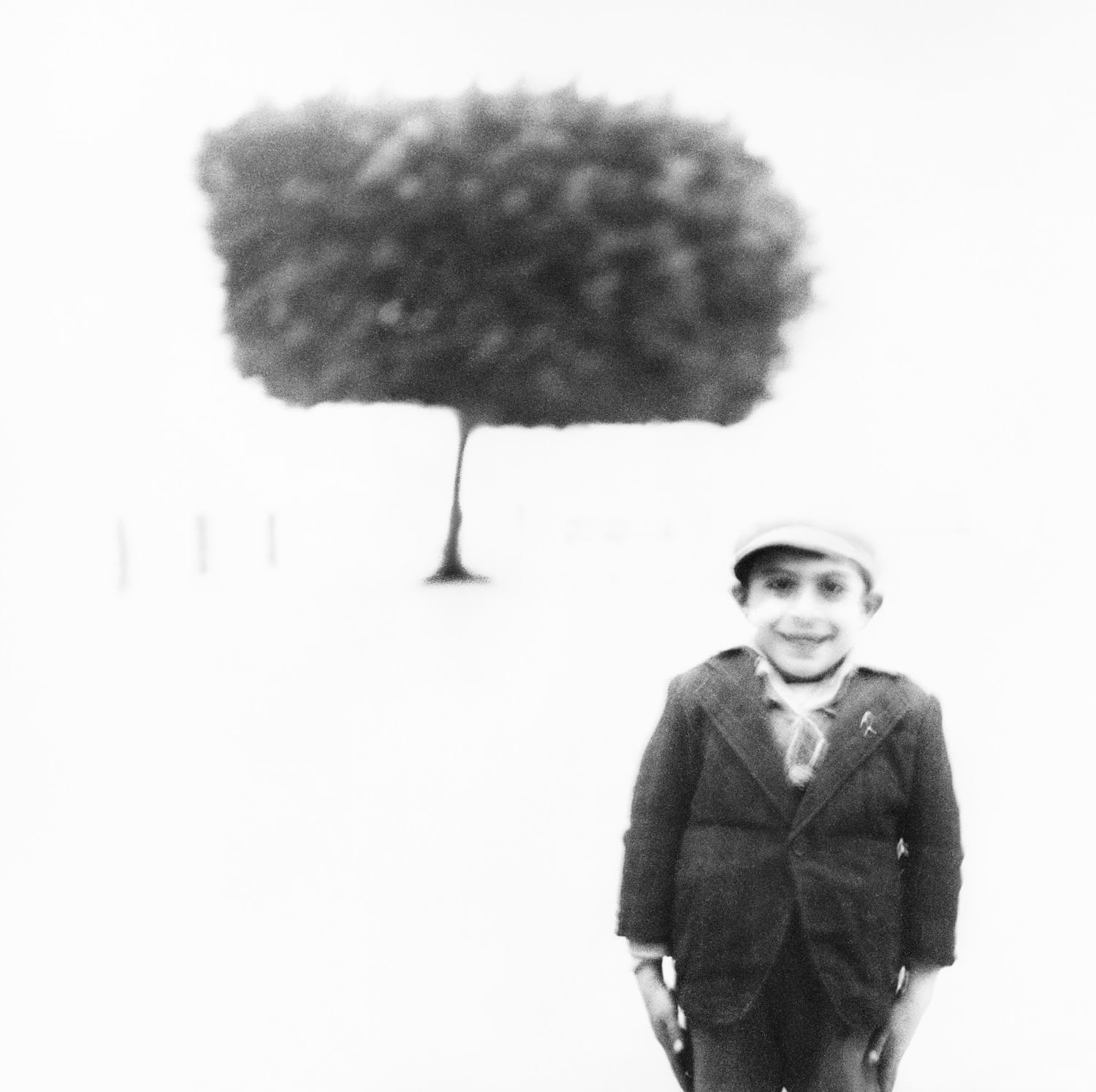Un garçon appuyé contre un arbre en Sicile, photographie de Richard Avedon, 1947
