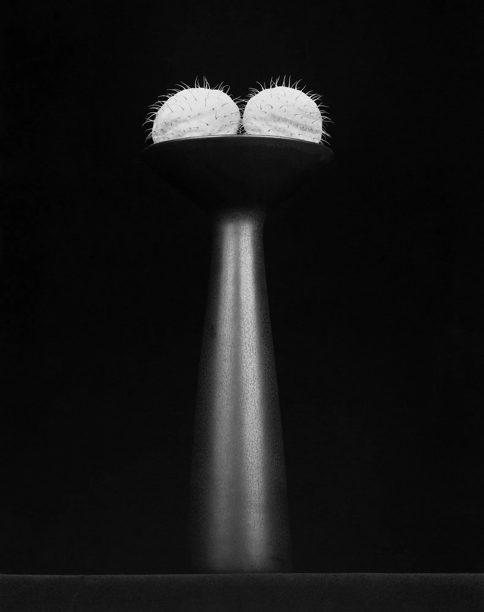 Flower, 1983. Réduite à sa silhouette, la fleur devient un organe.