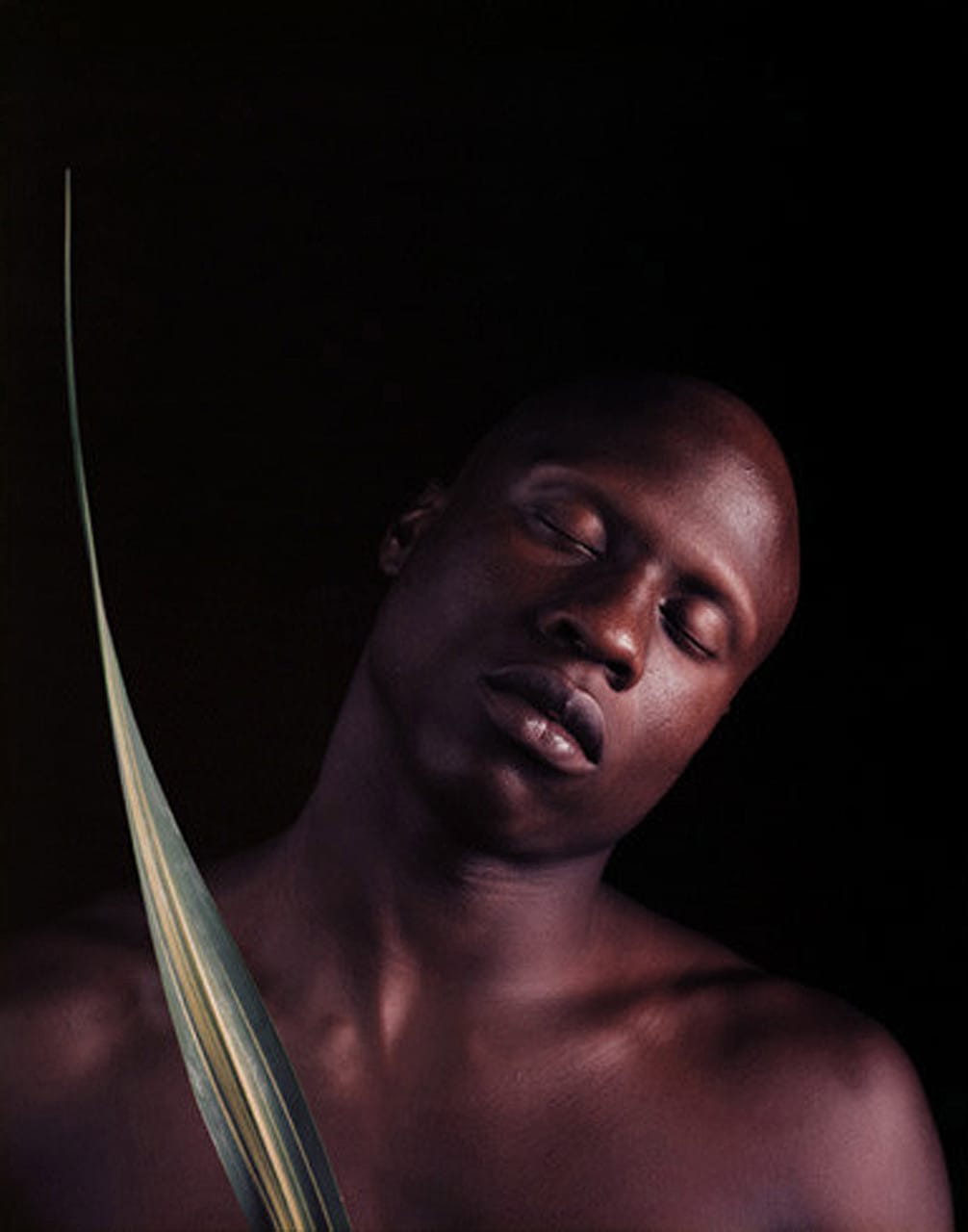 Ken Moody, 1984. Un des rares tirages couleur, en transfert de colorants.