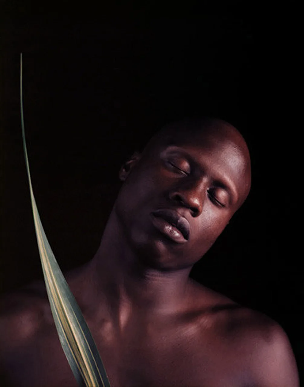 Ken Moody, 1984. Un des rares tirages couleur, en transfert de colorants.