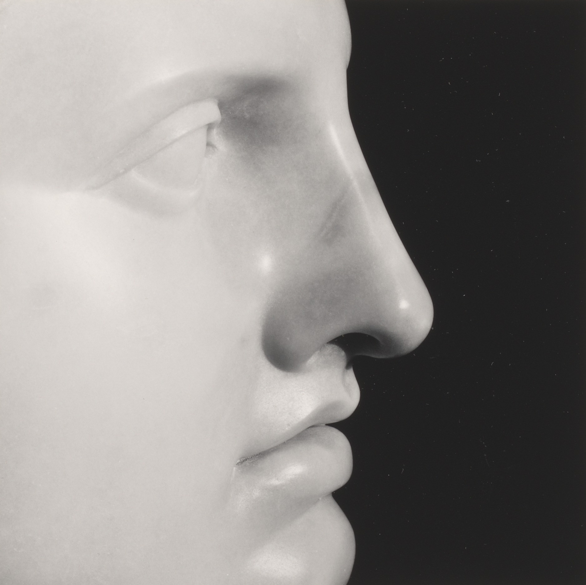 Little Apollo. Le profil de plâtre, éclairé exactement comme un modèle vivant.