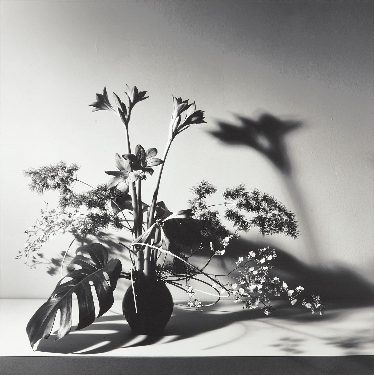 Still Life. La nature morte hollandaise remise au studio, avec le flash pour lumière du jour.
