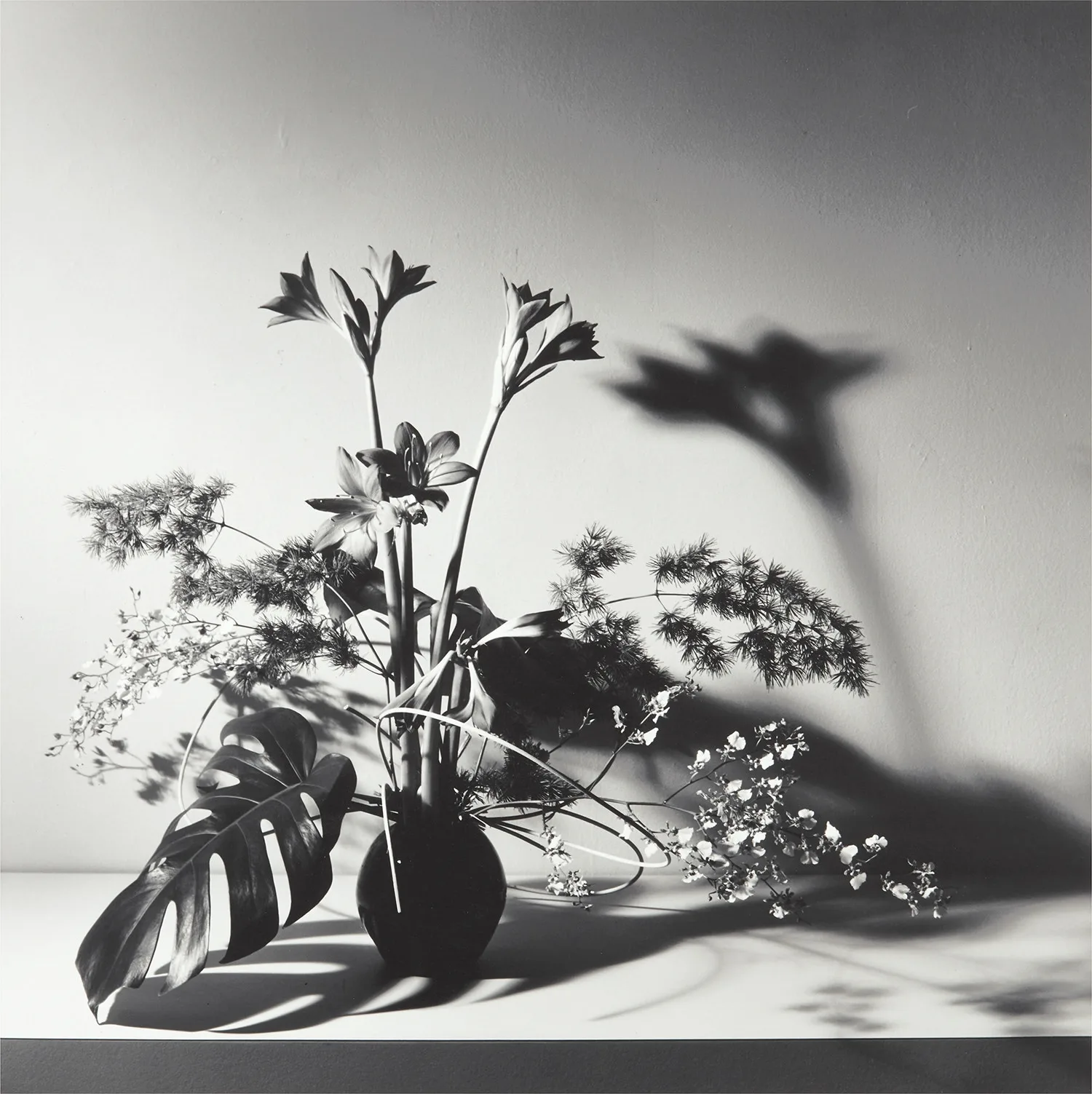 Still Life. La nature morte hollandaise remise au studio, avec le flash pour lumière du jour.