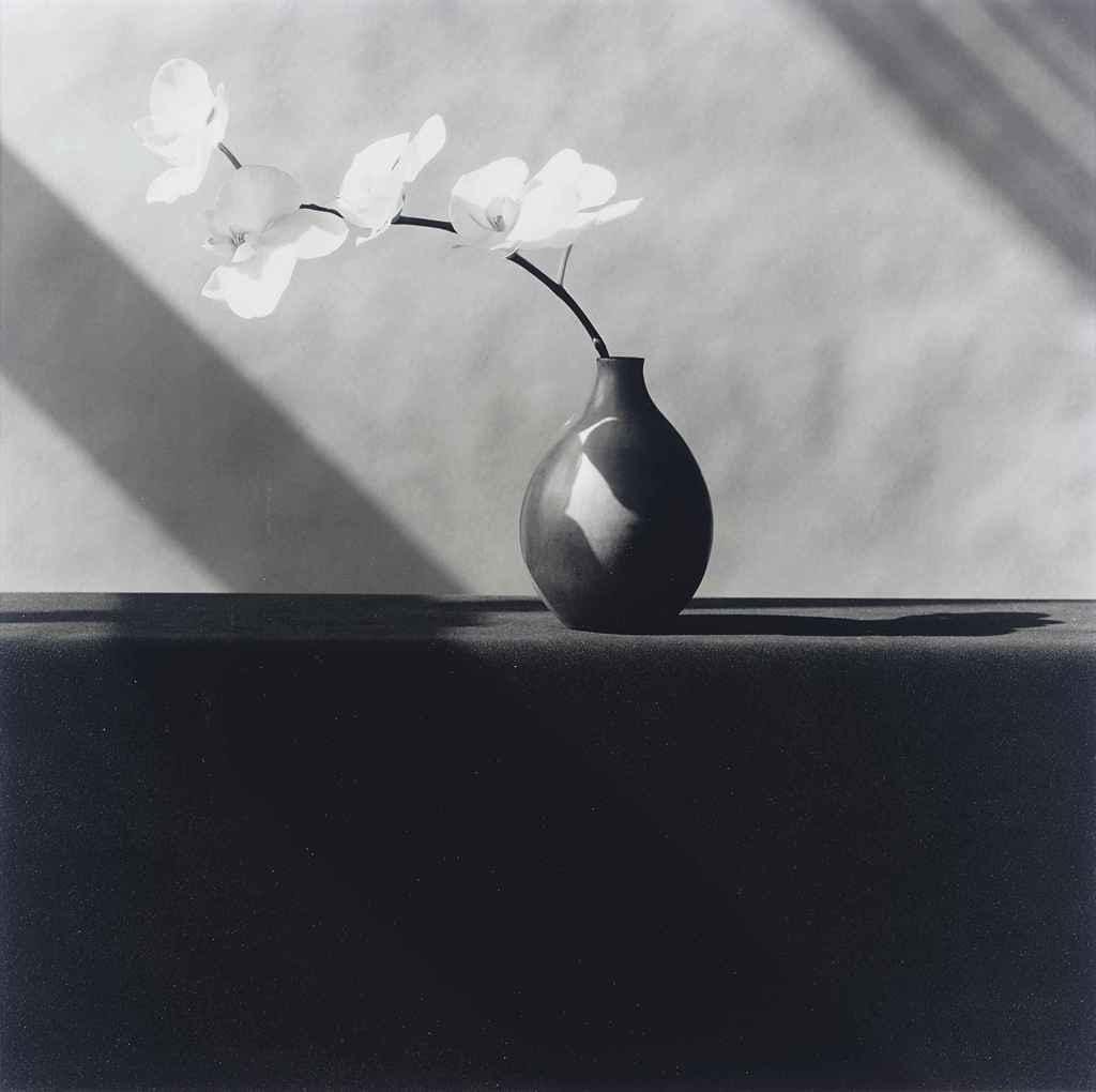 Orchid, 1982. Une fleur dans un vase, et une ombre qui fait la moitié du travail.