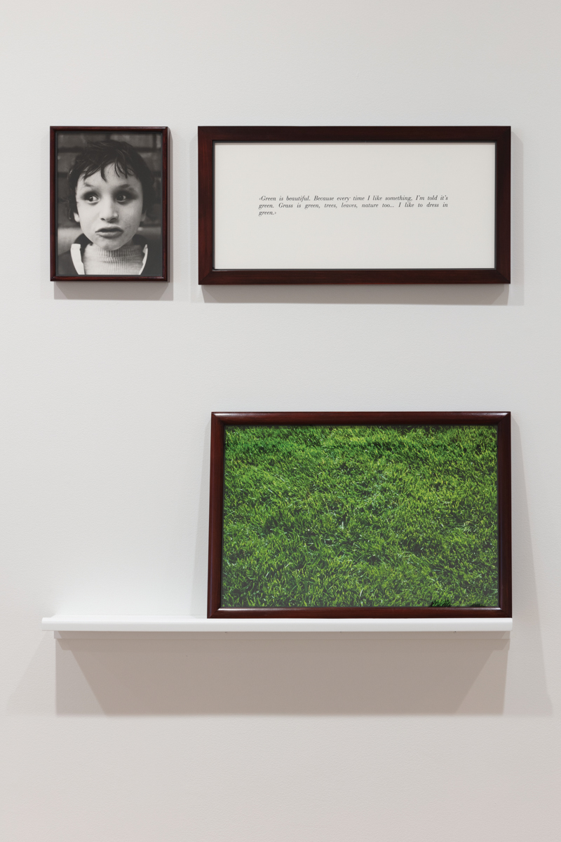 Triptyque des Aveugles : portrait d'un jeune garçon, texte et photographie d'herbe