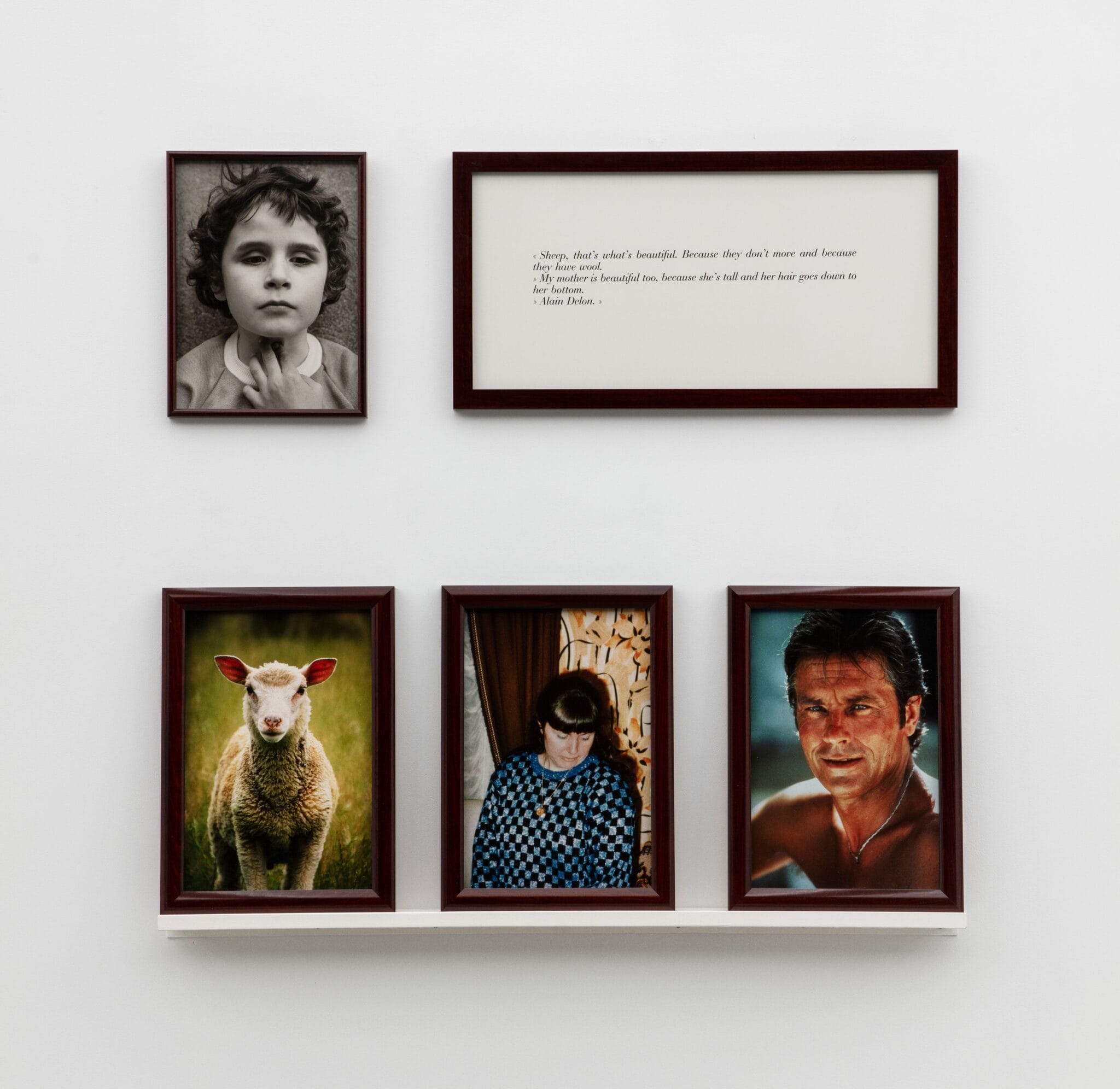 Triptyque des Aveugles de Sophie Calle avec la photographie d'un mouton