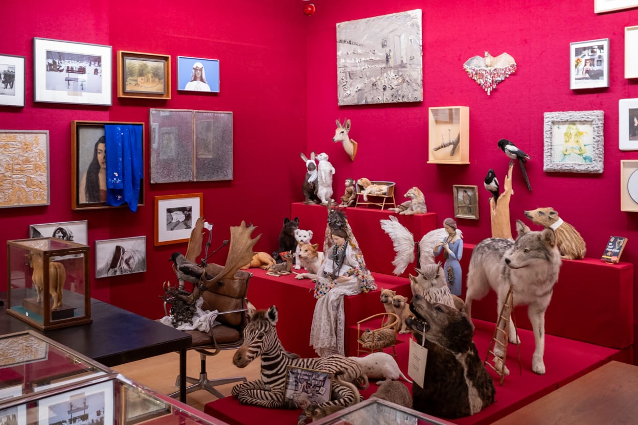 Salle rouge de l'inventaire des biens de Sophie Calle au musée Picasso, animaux naturalisés et cadres