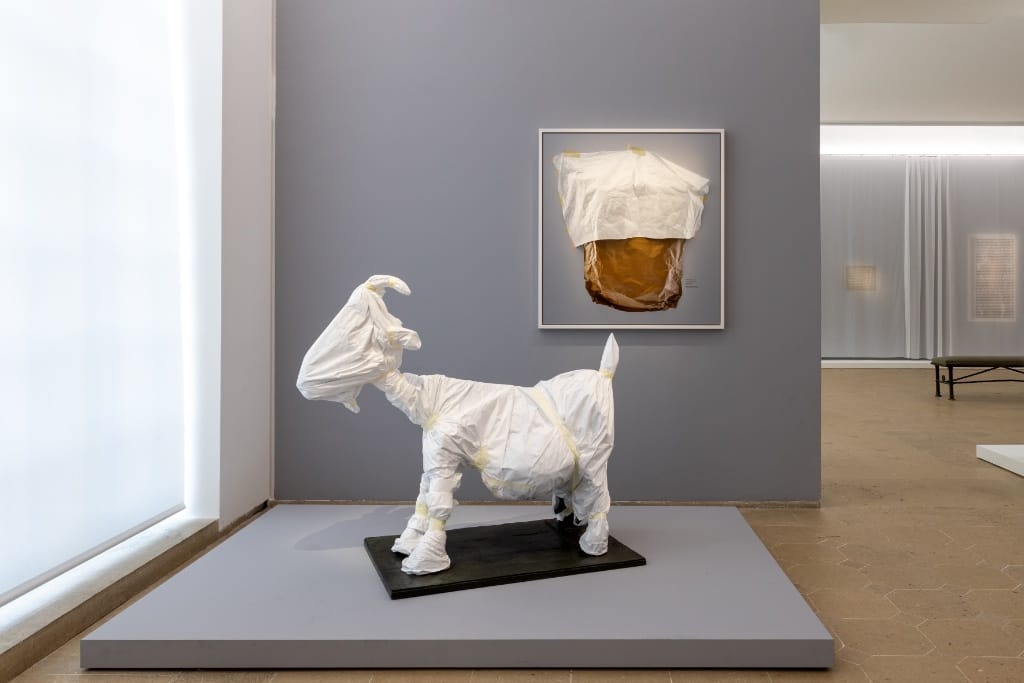 La Chèvre de Picasso emballée dans du papier de protection, photographiée par Sophie Calle